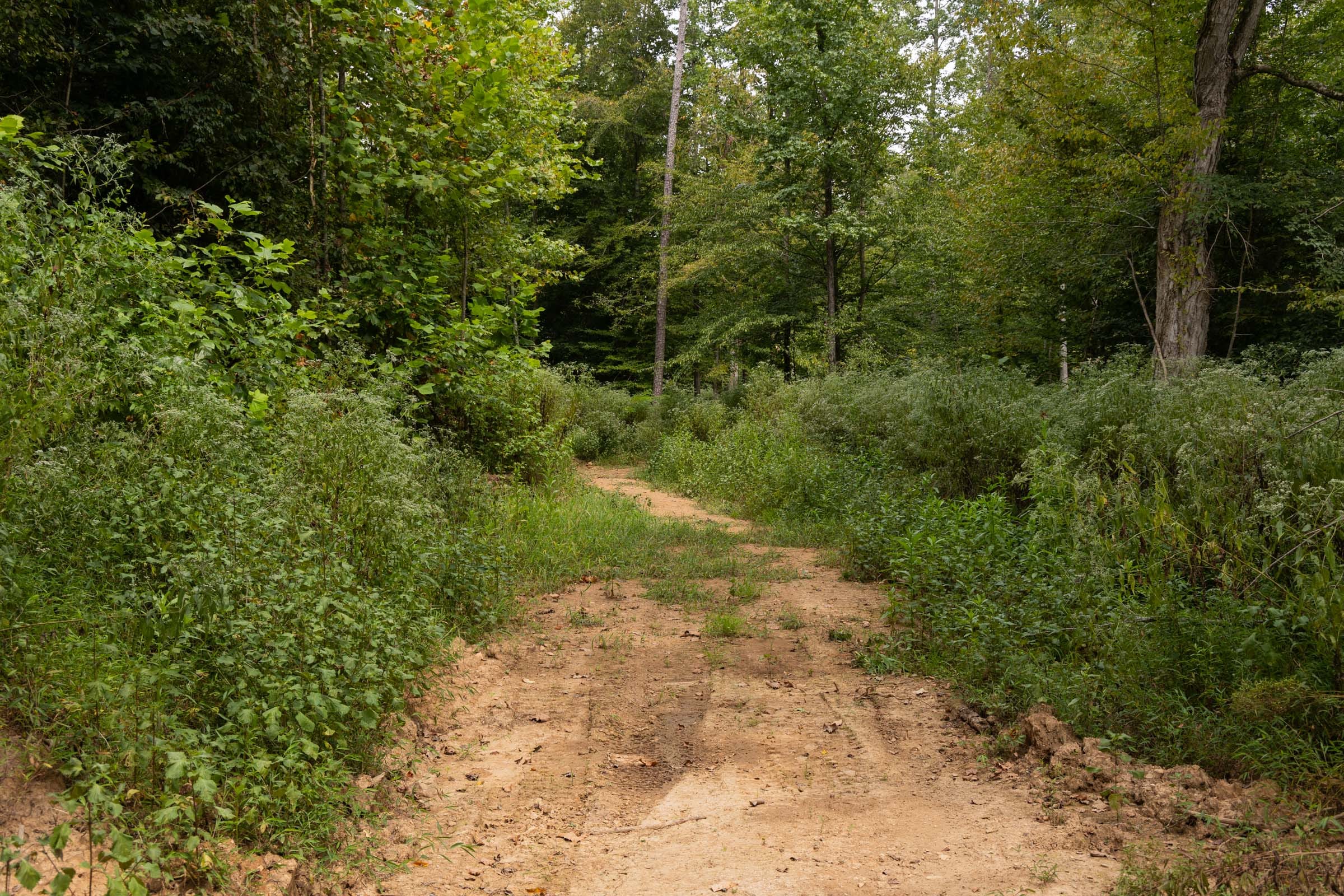 Big White Oak Tract 92 photo 9