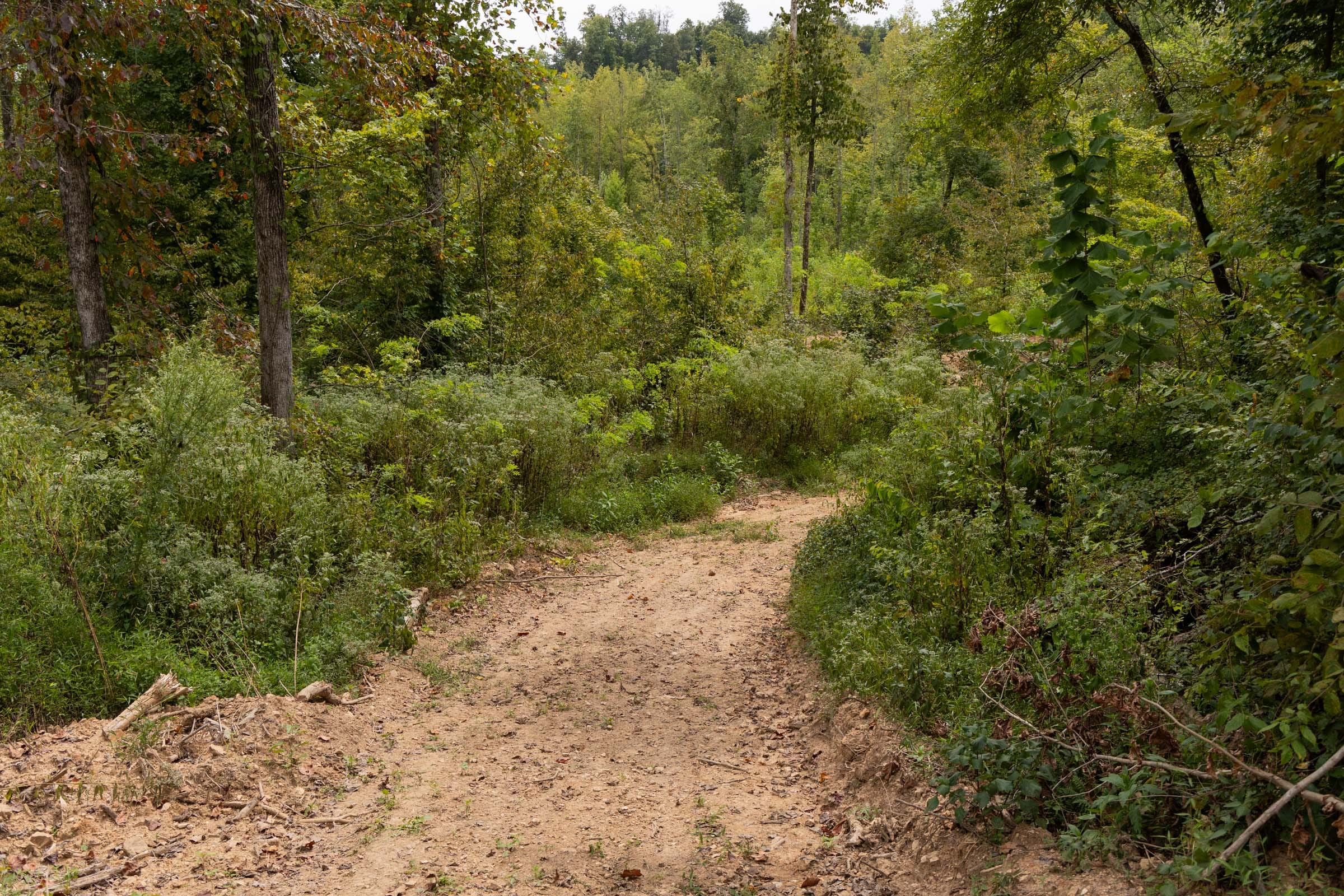 Big White Oak Tract 92 photo 7