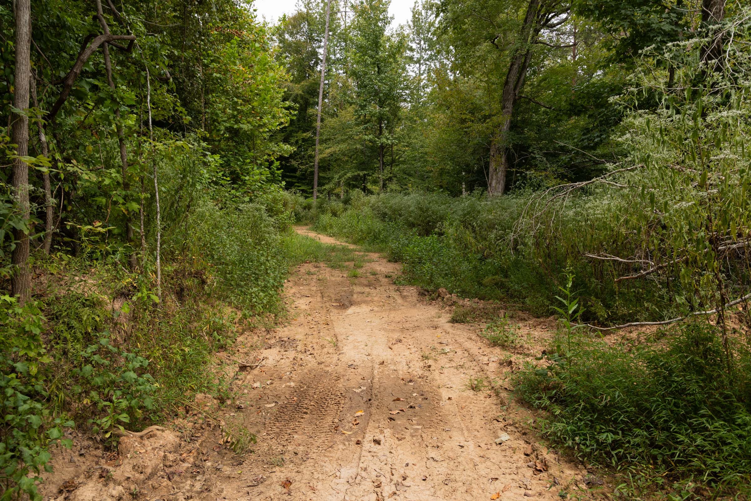 Big White Oak Tract 92 photo 5
