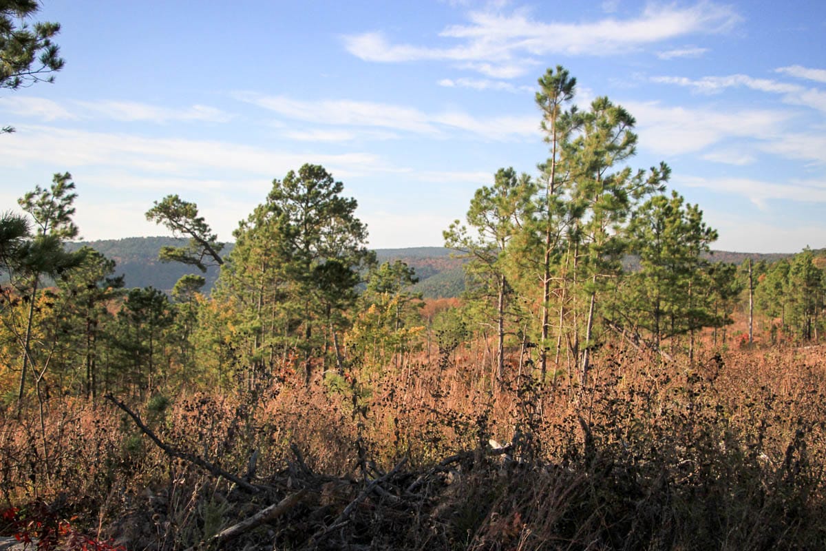 Stone Creek Phase III Tract 39 photo 2