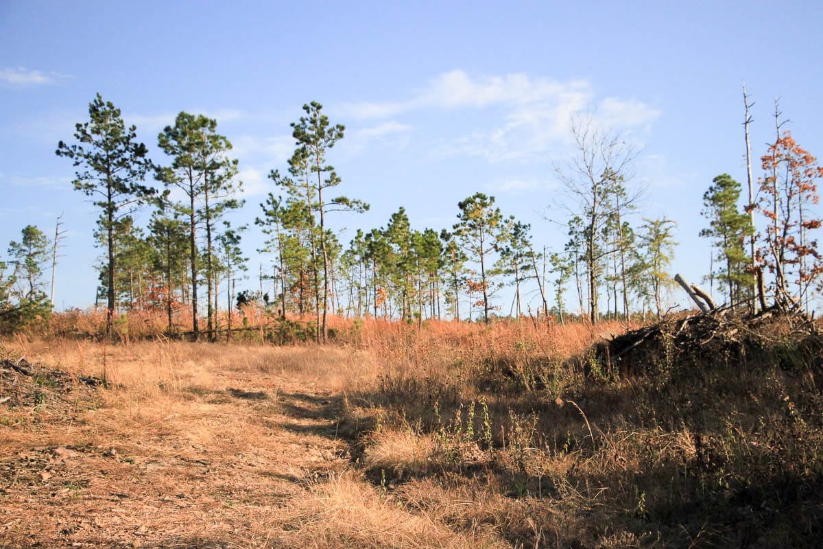 Stone Creek Phase III Tract 39 photo 3