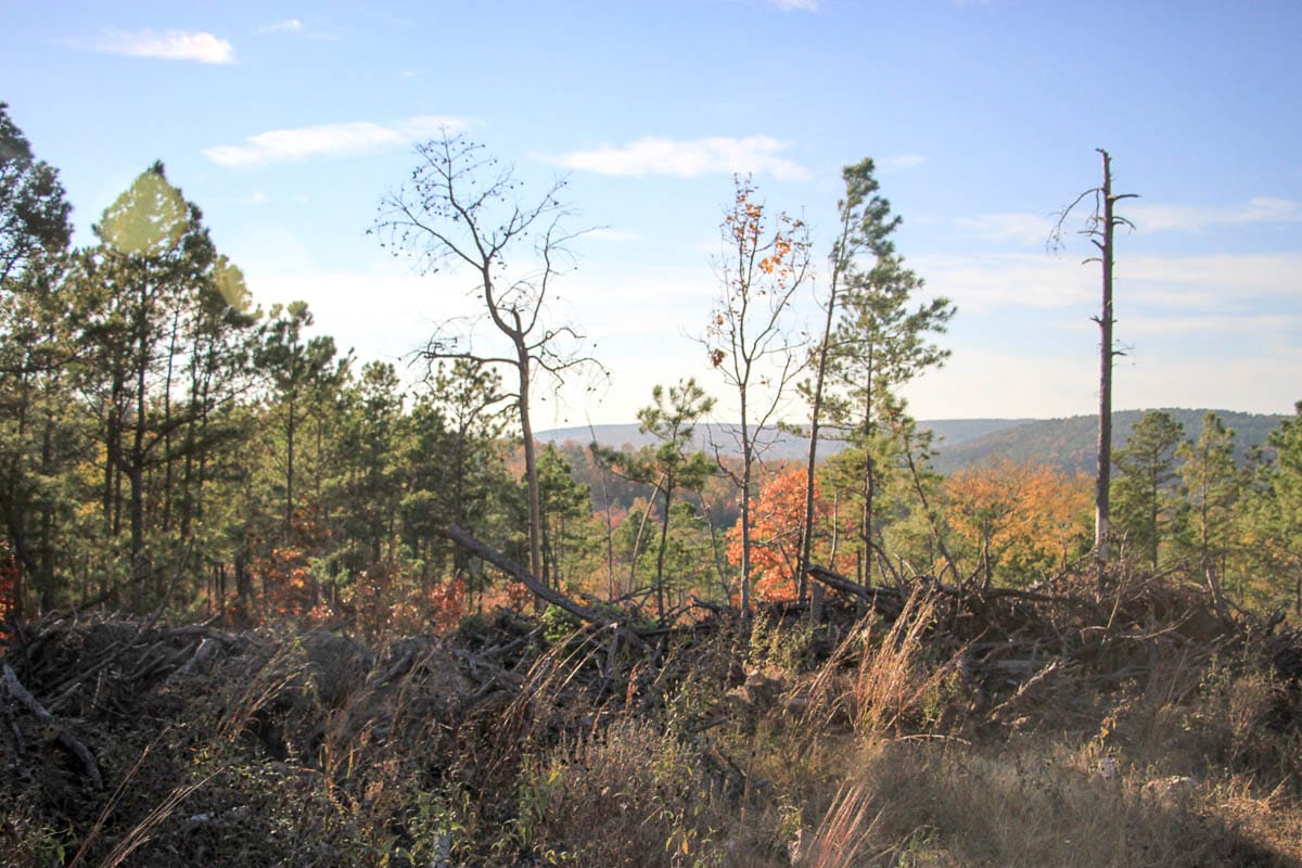 Stone Creek Phase III Tract 39 photo 5