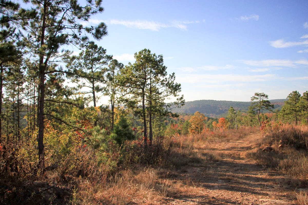 Stone Creek Phase III Tract 39 photo 6