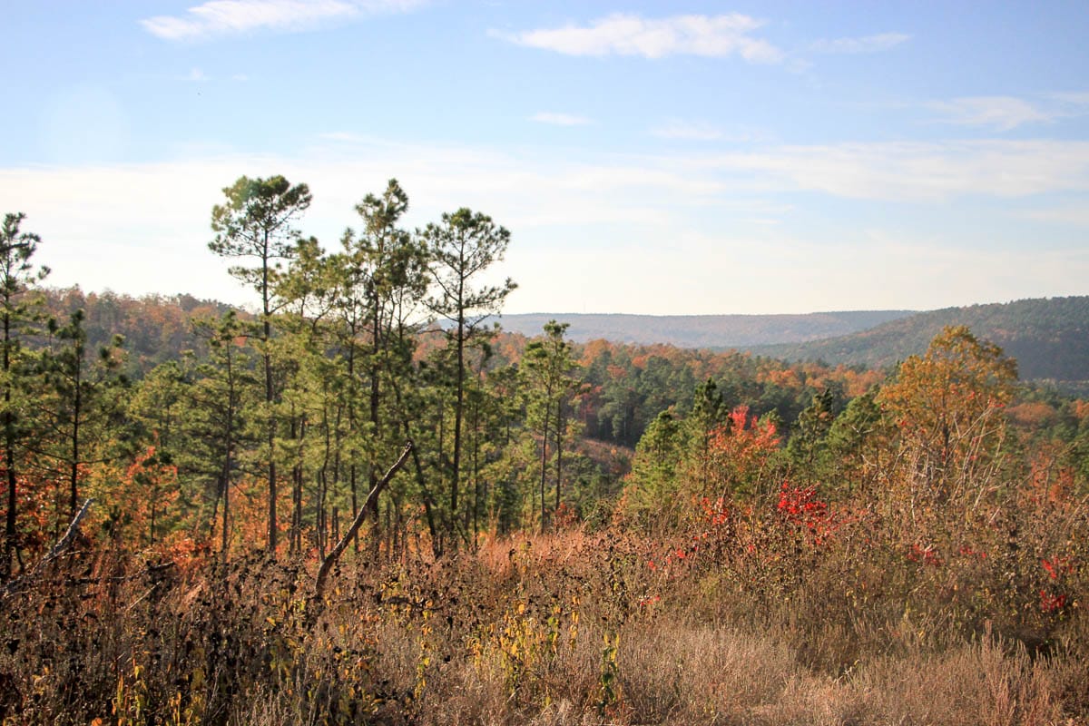 Stone Creek Phase III Tract 39 photo 8