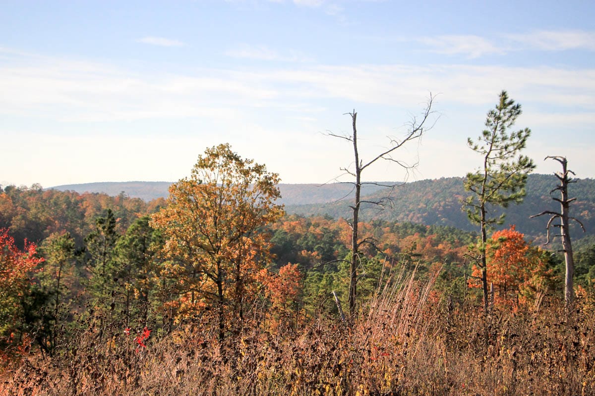 Stone Creek Phase III Tract 39 photo 9