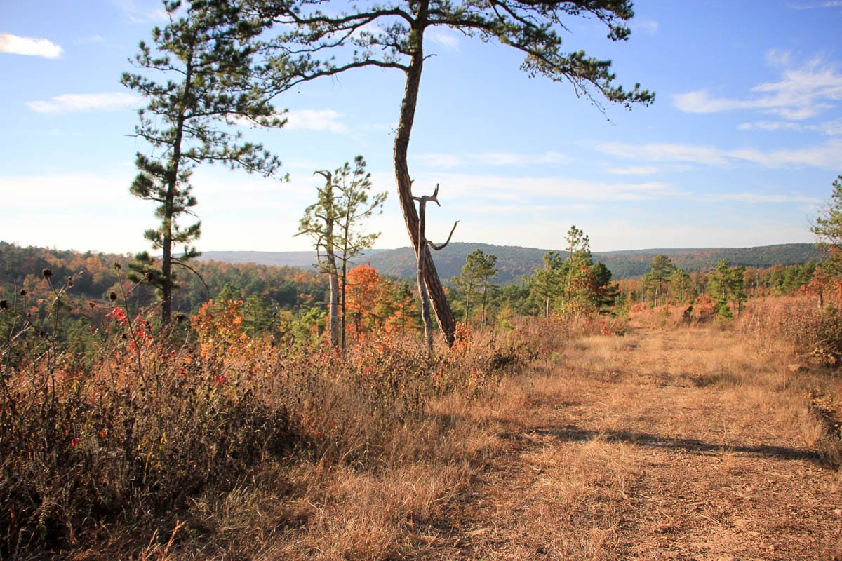 Stone Creek Phase III Tract 39 photo 10