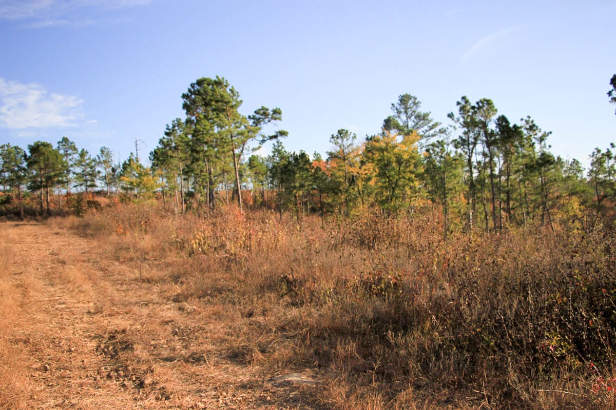 Stone Creek Phase III Tract 39 photo 11
