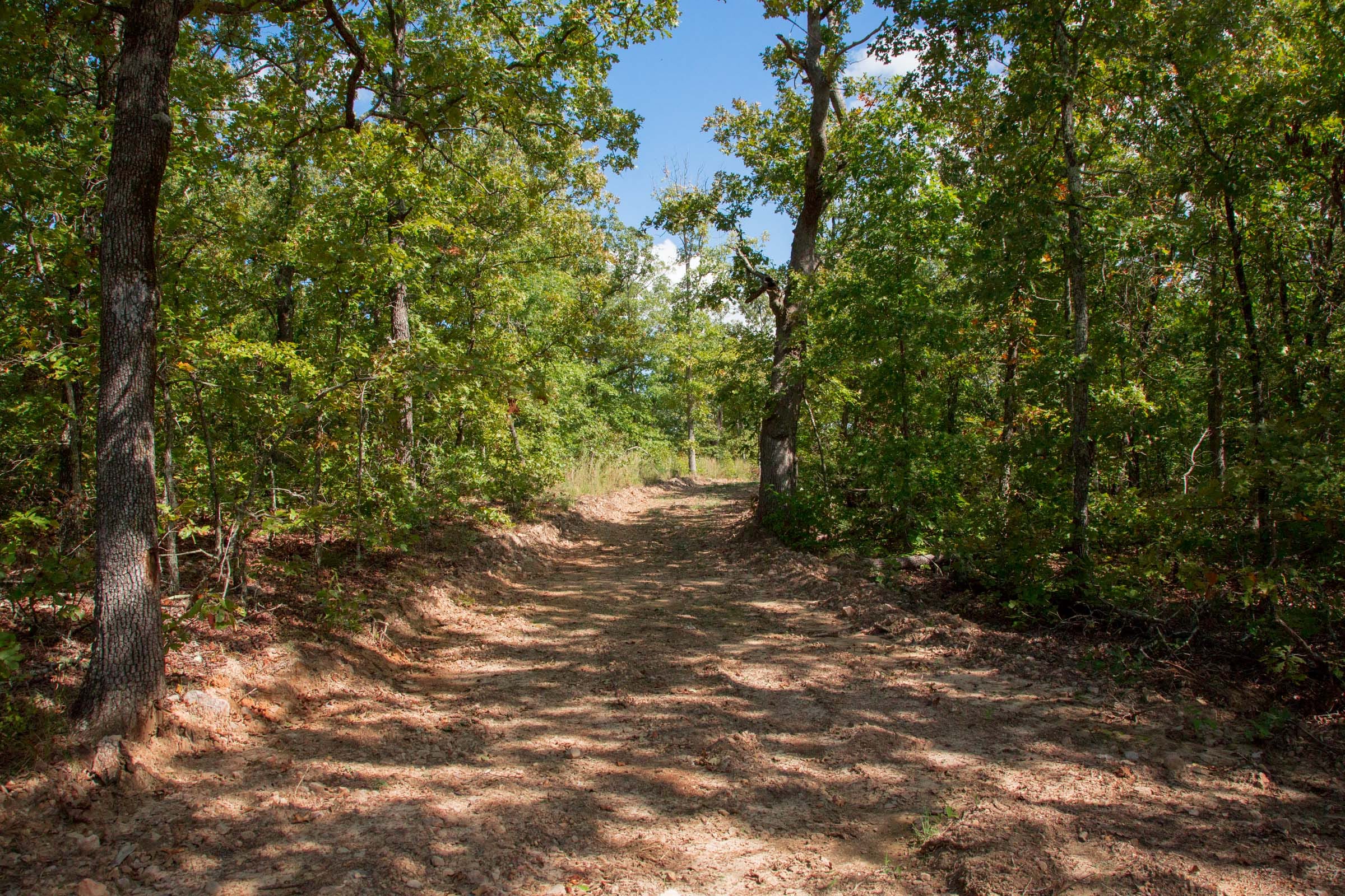 Wagon Wheel Ranch Tract 33 photo 2