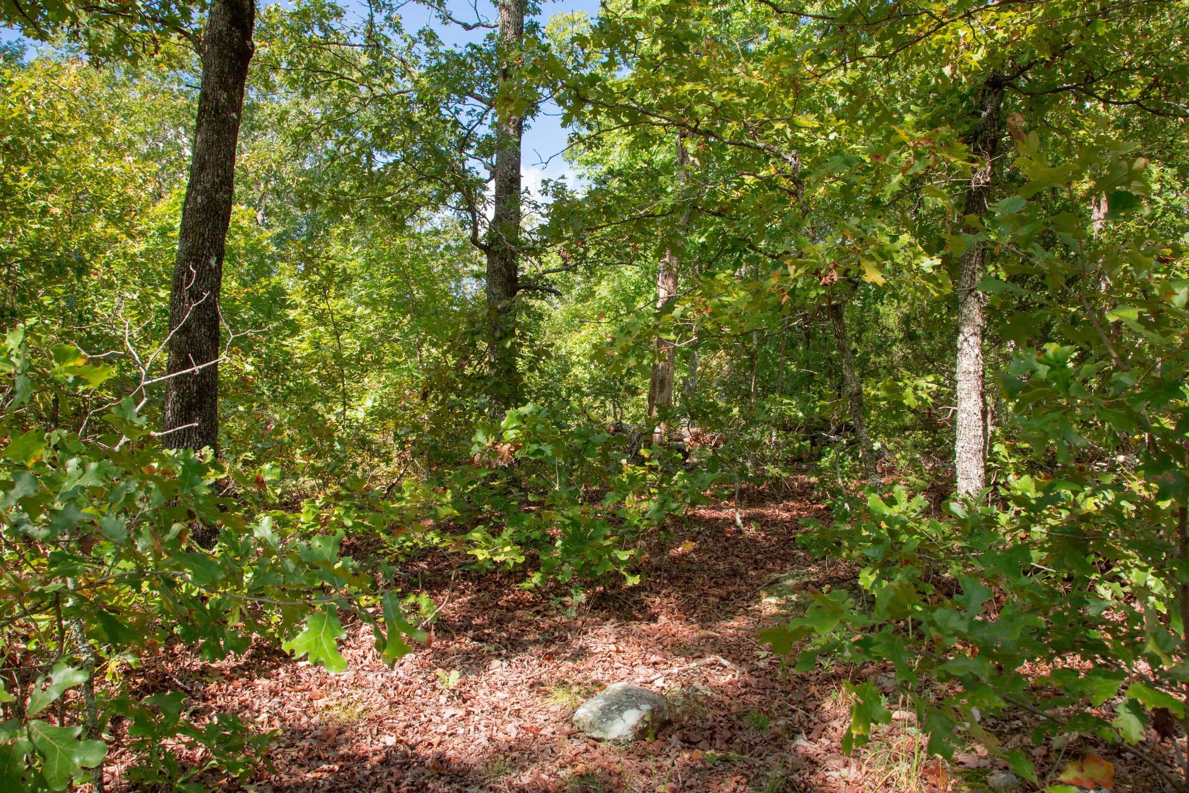 Wagon Wheel Ranch Tract 33 photo 7