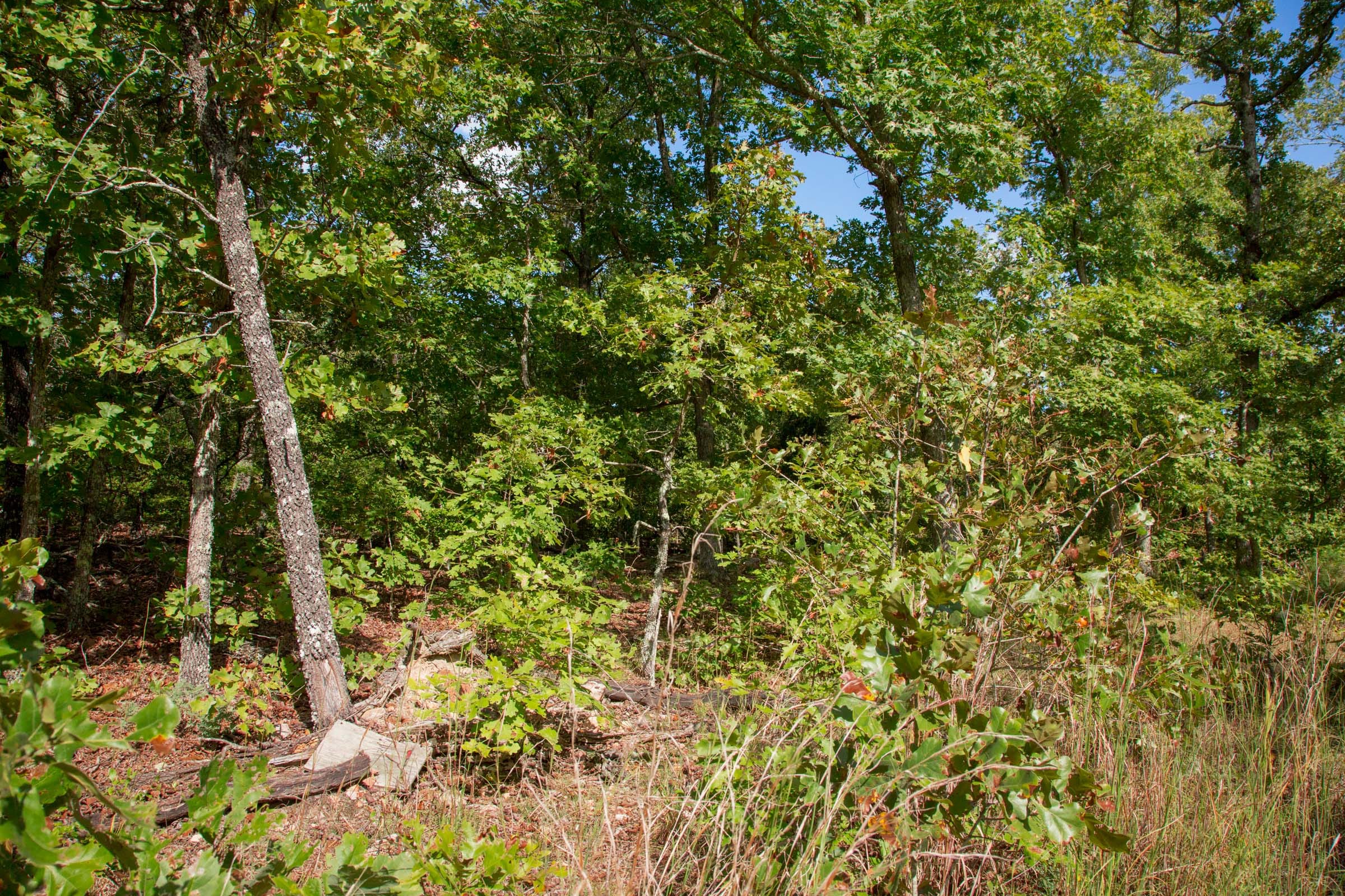 Wagon Wheel Ranch Tract 33 photo 8