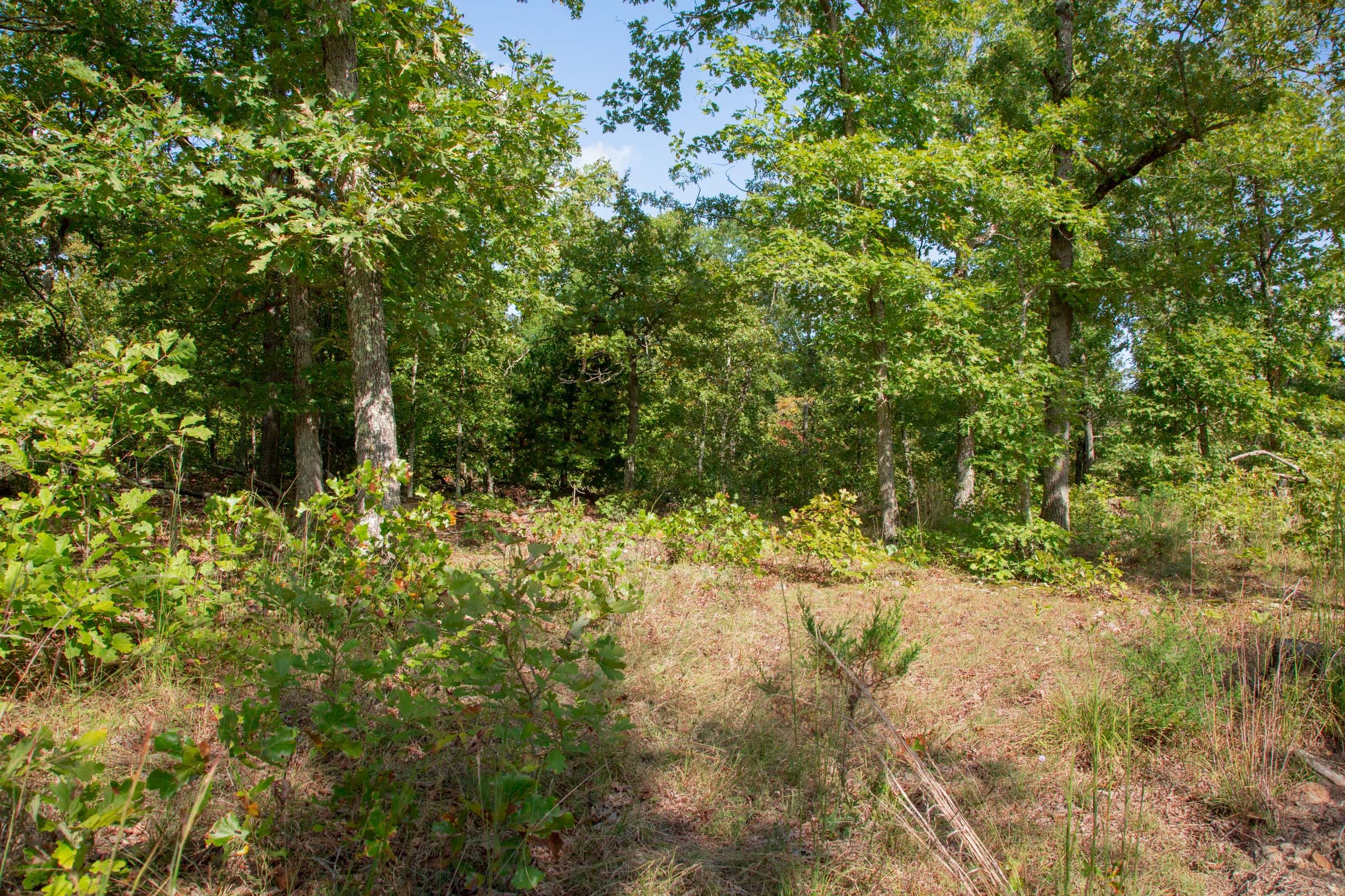 Wagon Wheel Ranch Tract 33 photo 9