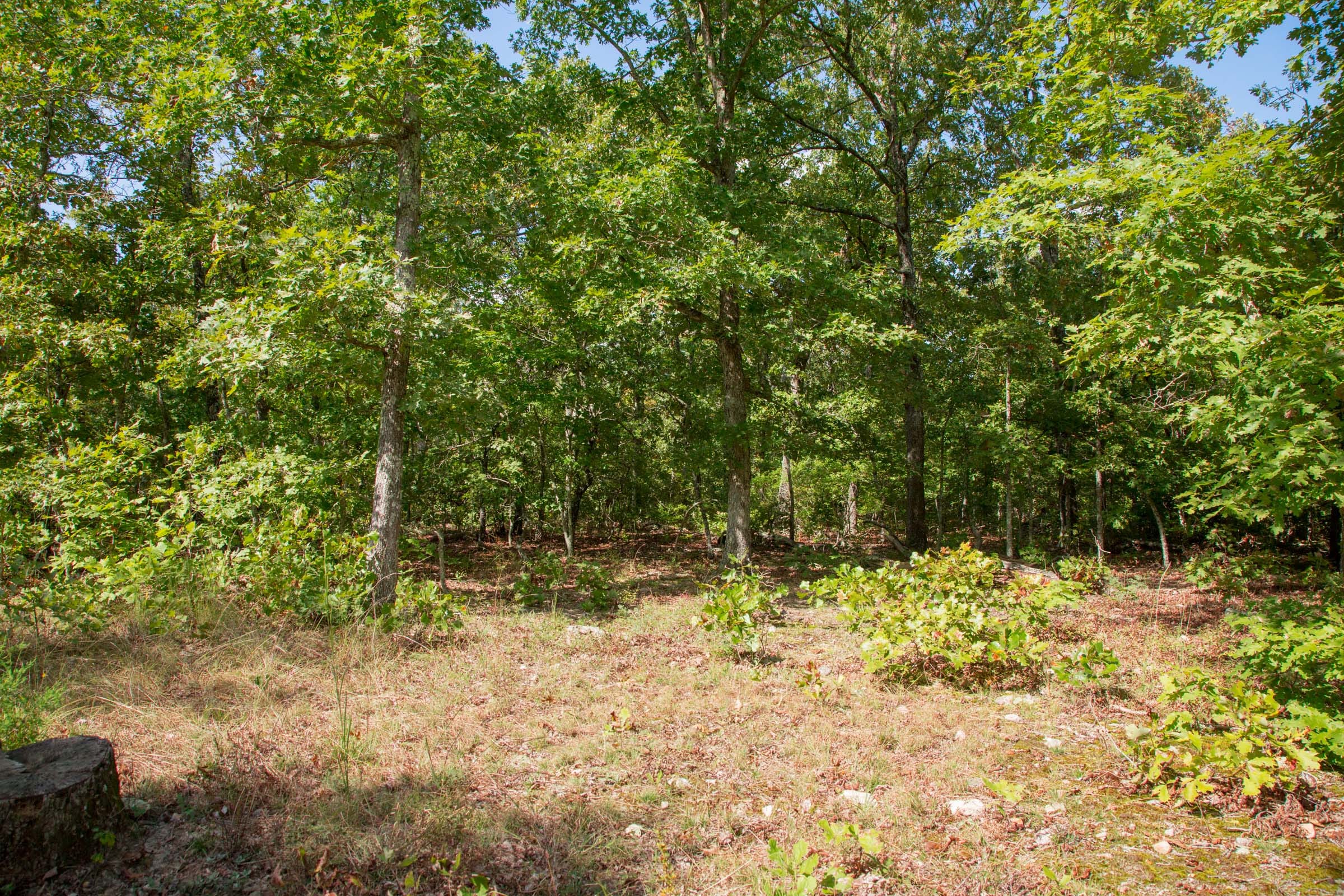 Wagon Wheel Ranch Tract 33 photo 10