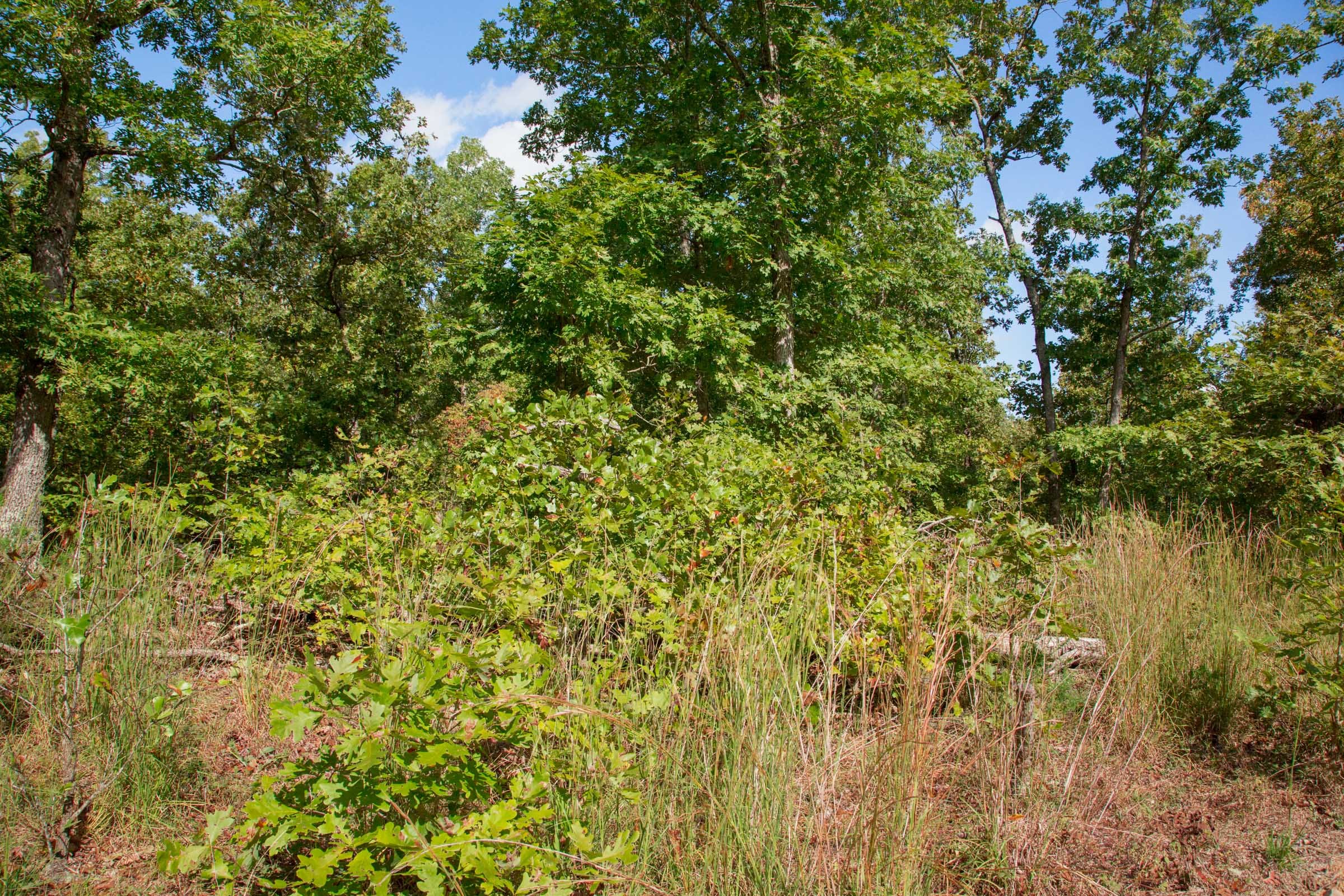 Wagon Wheel Ranch Tract 33 photo 11
