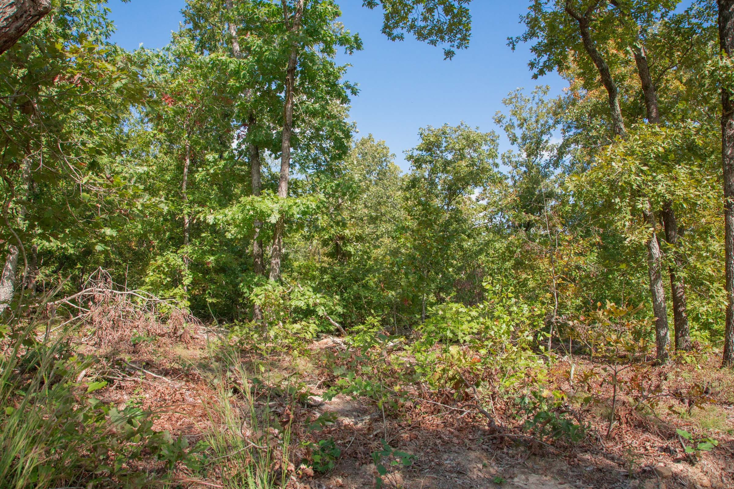 Wagon Wheel Ranch Tract 33 photo 12