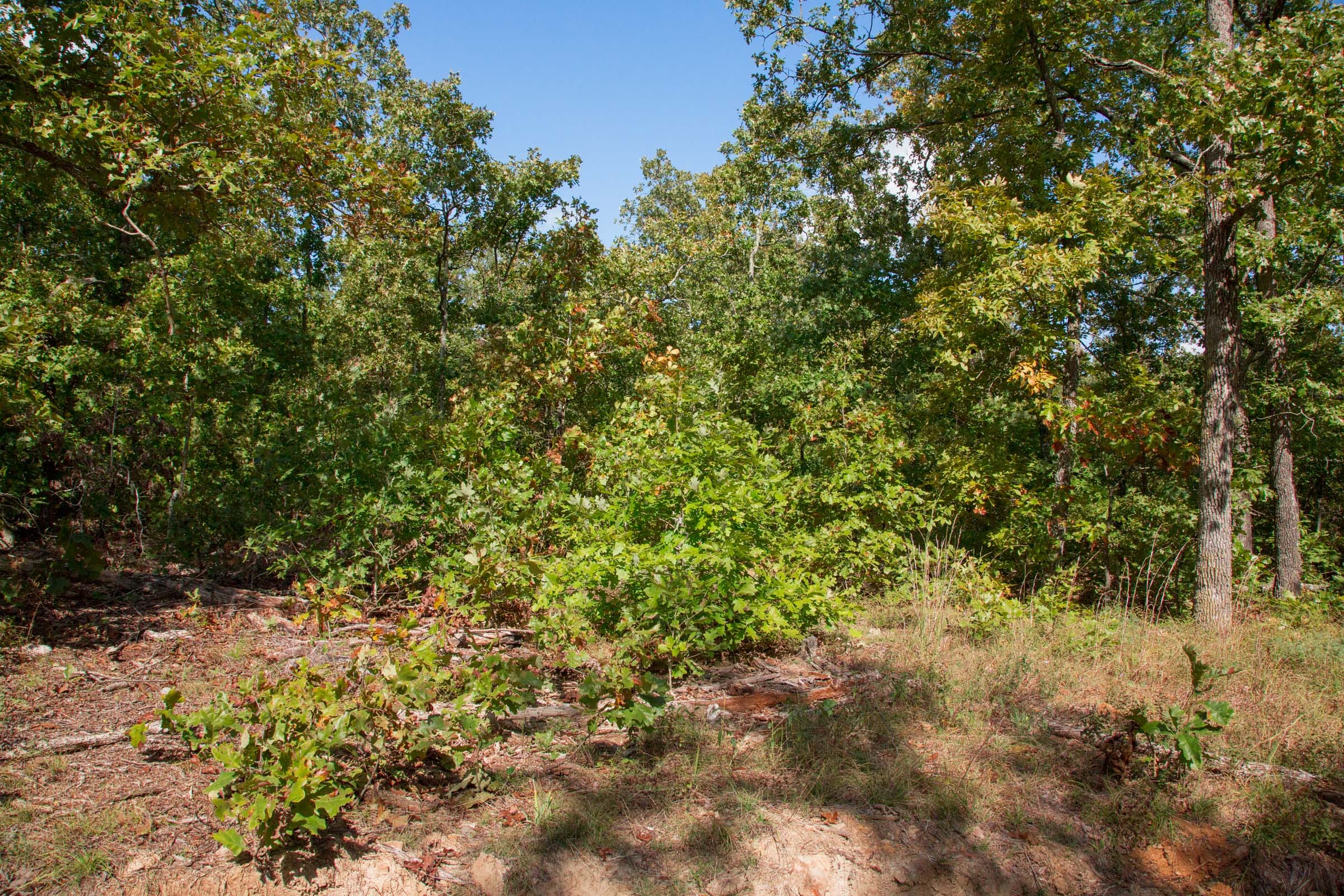 Wagon Wheel Ranch Tract 33 photo 13