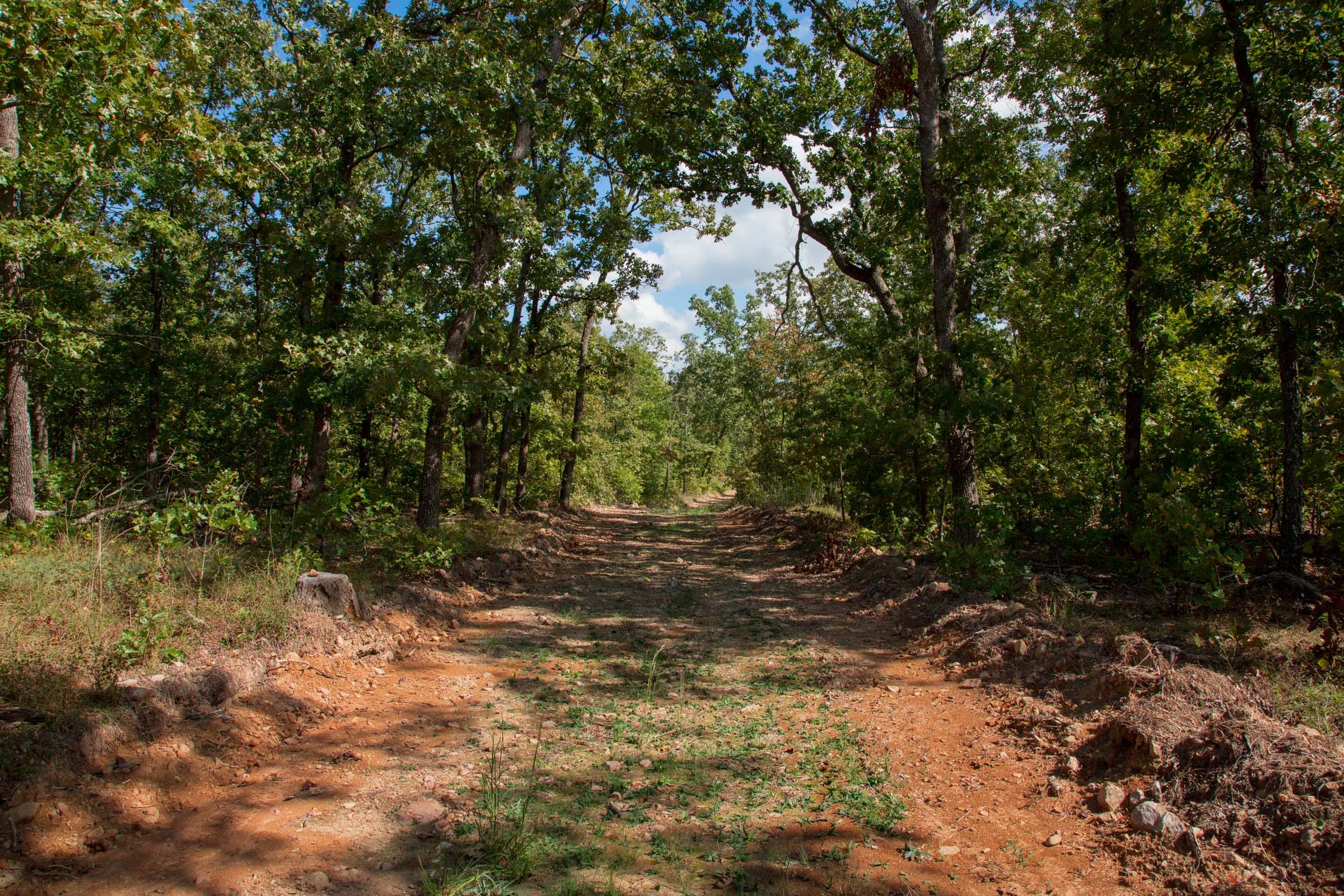 Wagon Wheel Ranch Tract 33 photo 6