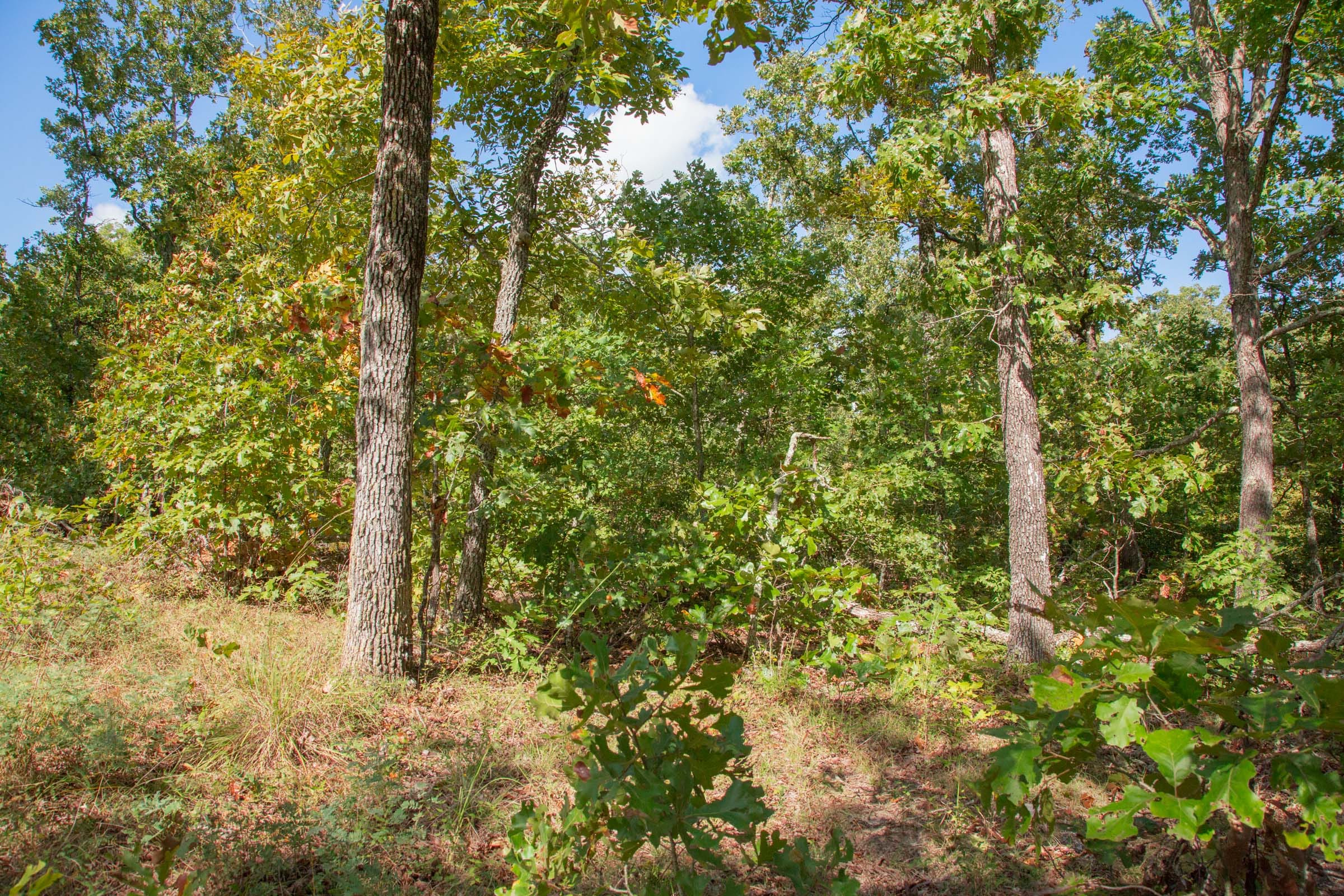 Wagon Wheel Ranch Tract 33 photo 1
