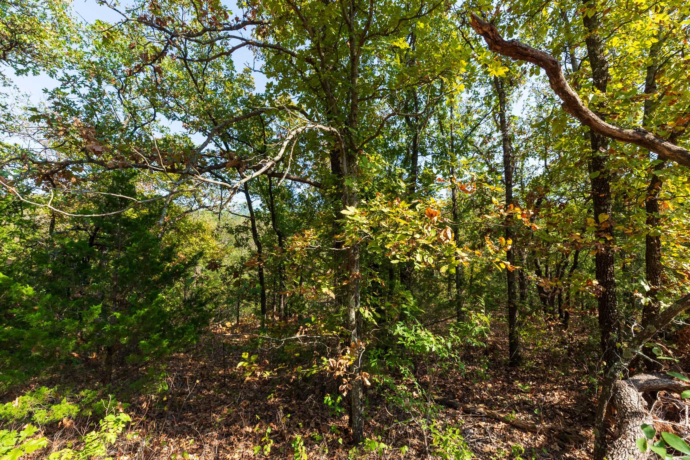 Canyon Creek Tract 23 photo 2