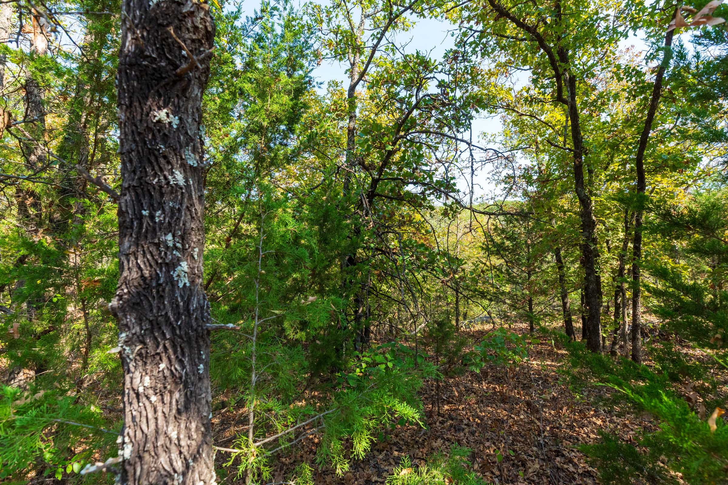 Canyon Creek Tract 23 photo 4