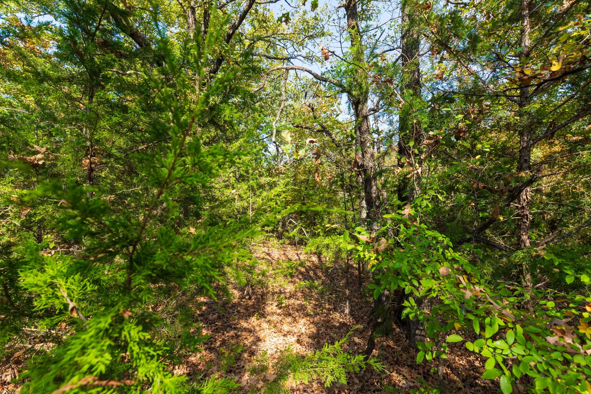 Canyon Creek Tract 23 photo 6