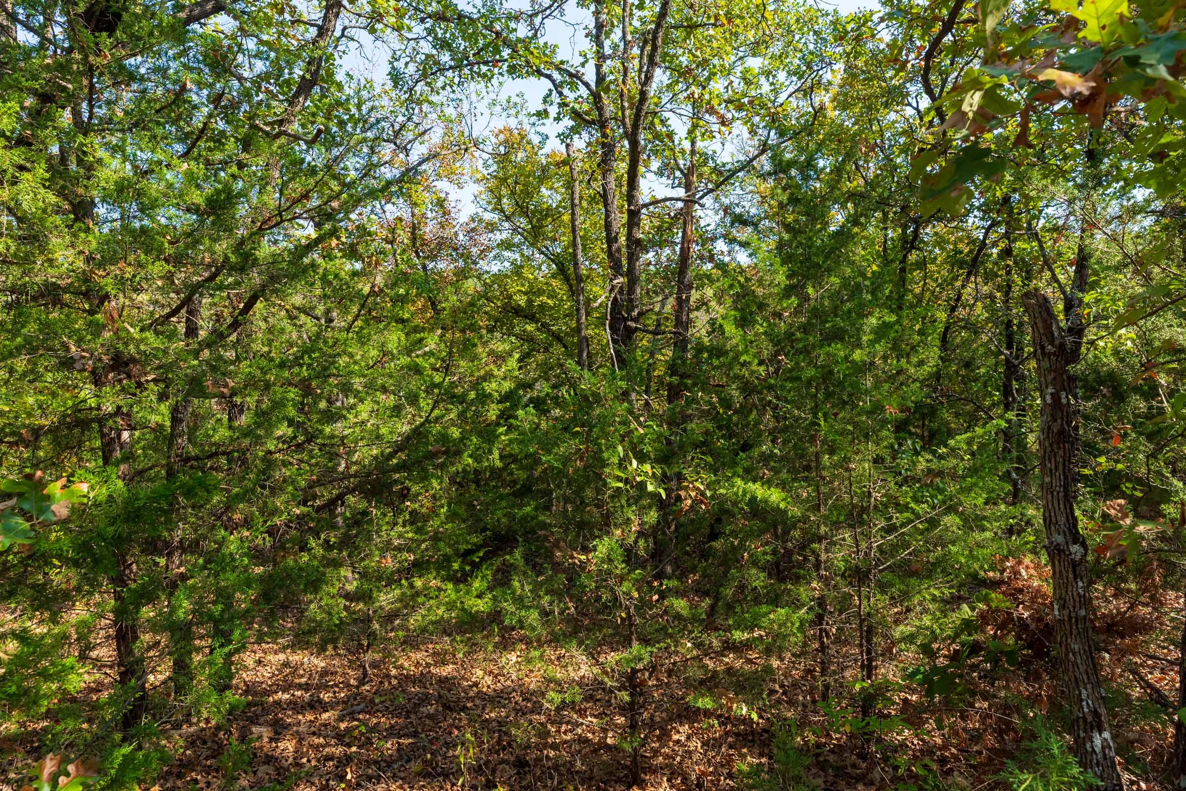 Canyon Creek Tract 23 photo 8