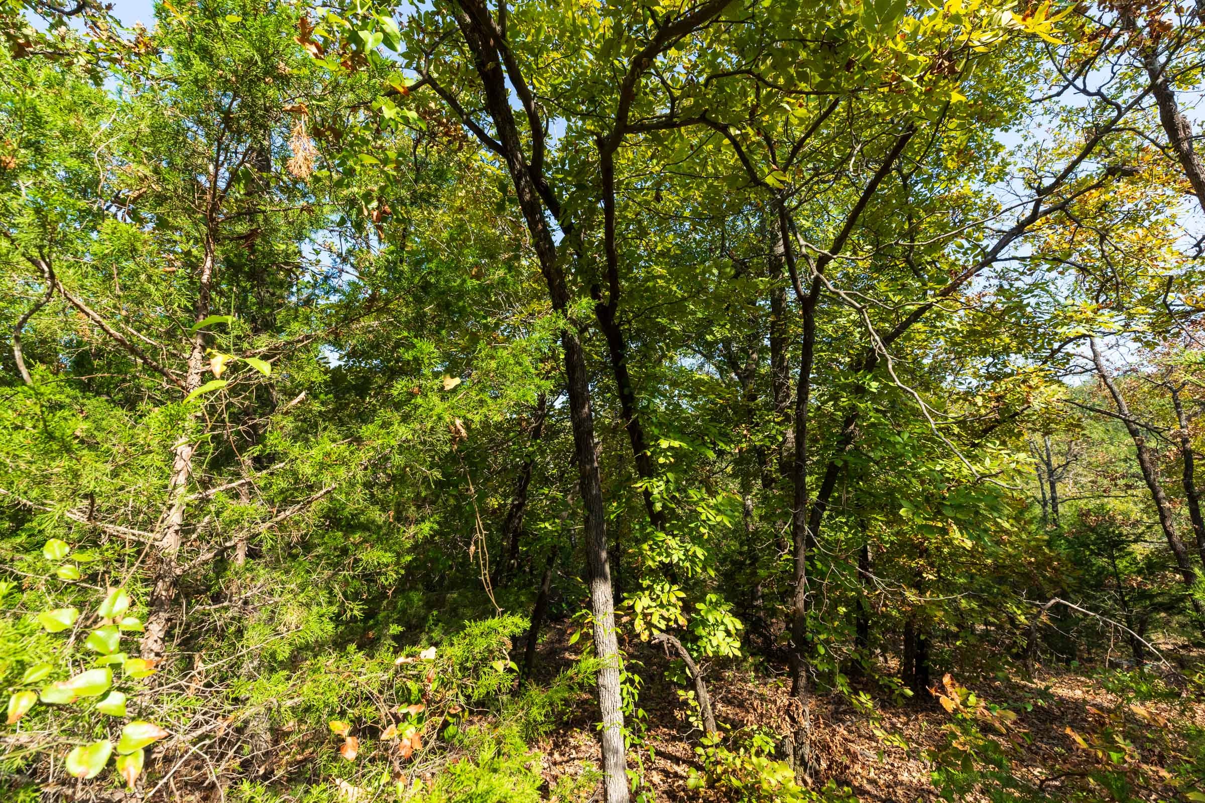 Canyon Creek Tract 23 photo 12