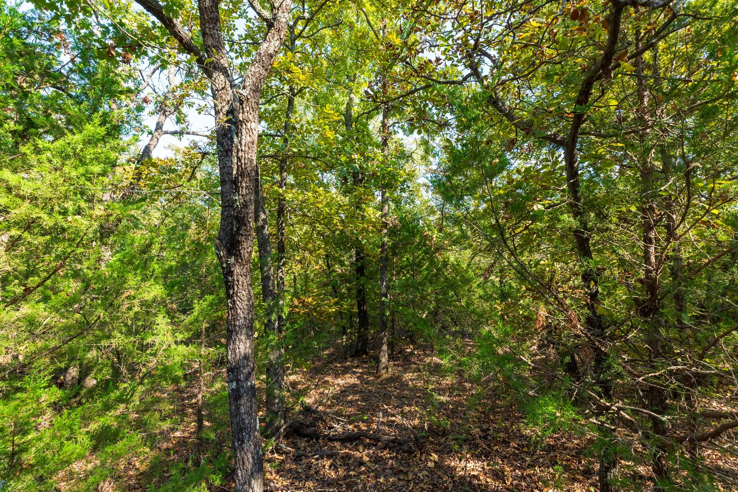 Canyon Creek Tract 23 photo 10