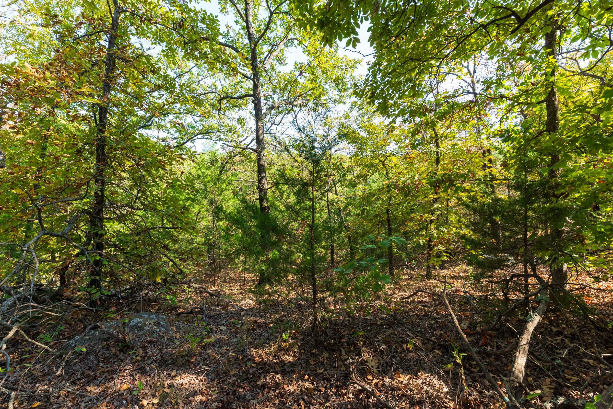 Canyon Creek Tract 23 photo 11