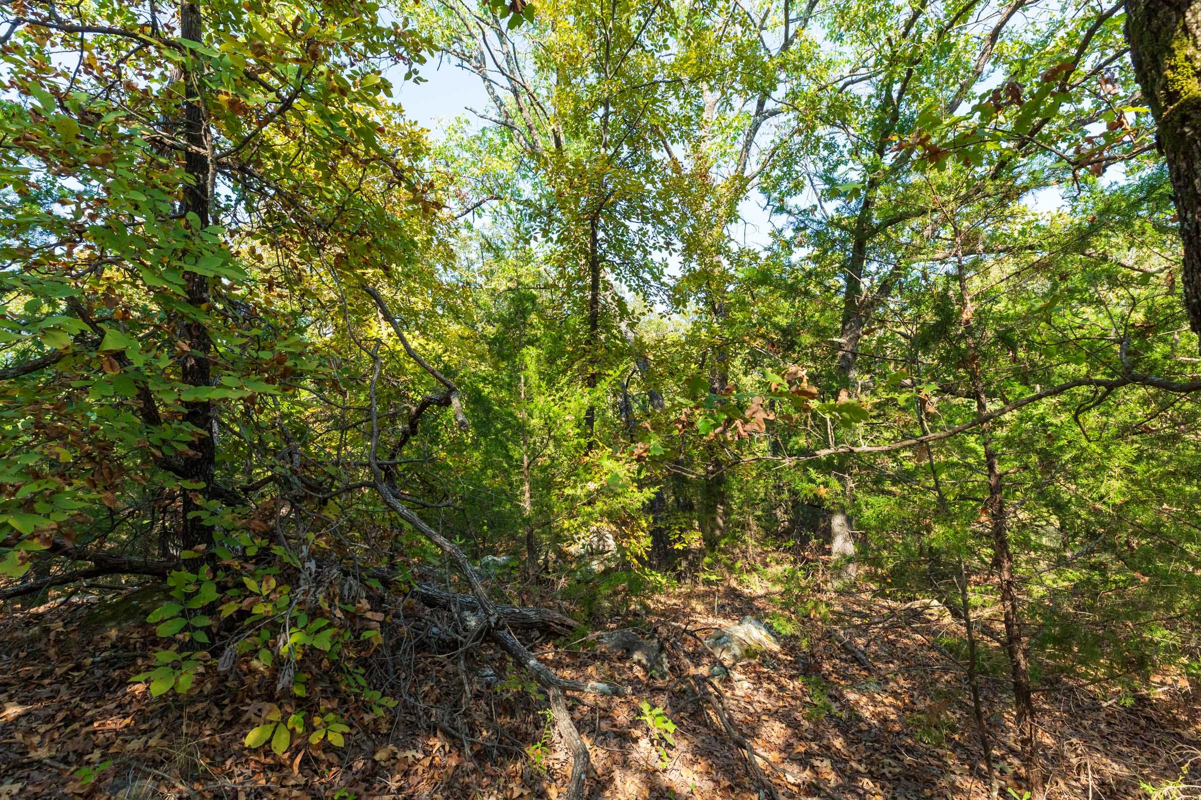 Canyon Creek Tract 23 photo 13