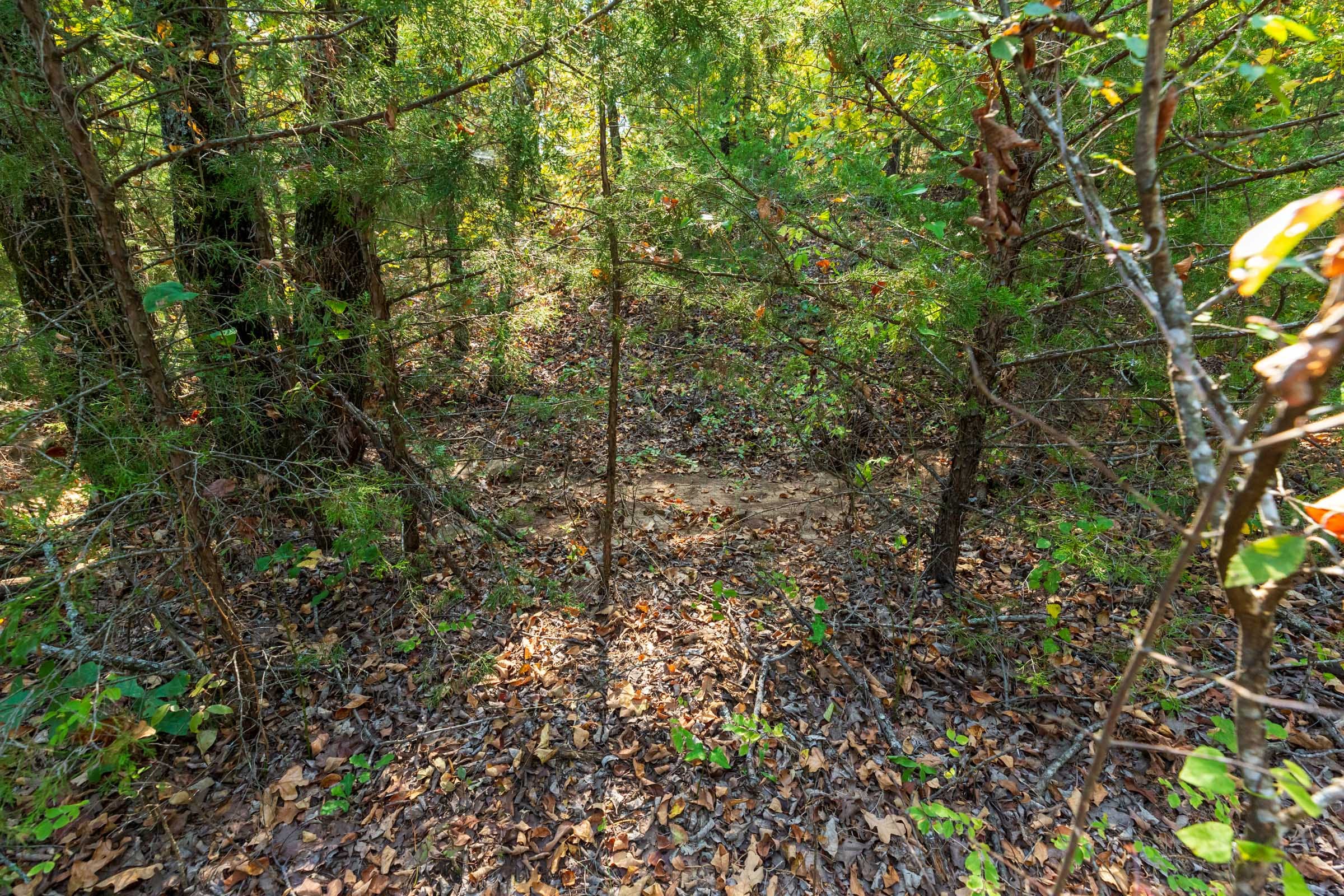 Canyon Creek Tract 23 photo 5
