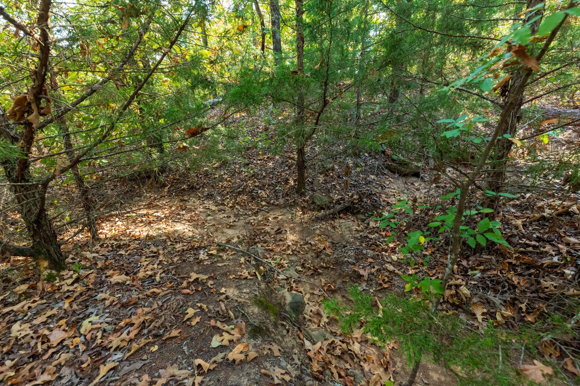 Canyon Creek Tract 23 photo 7