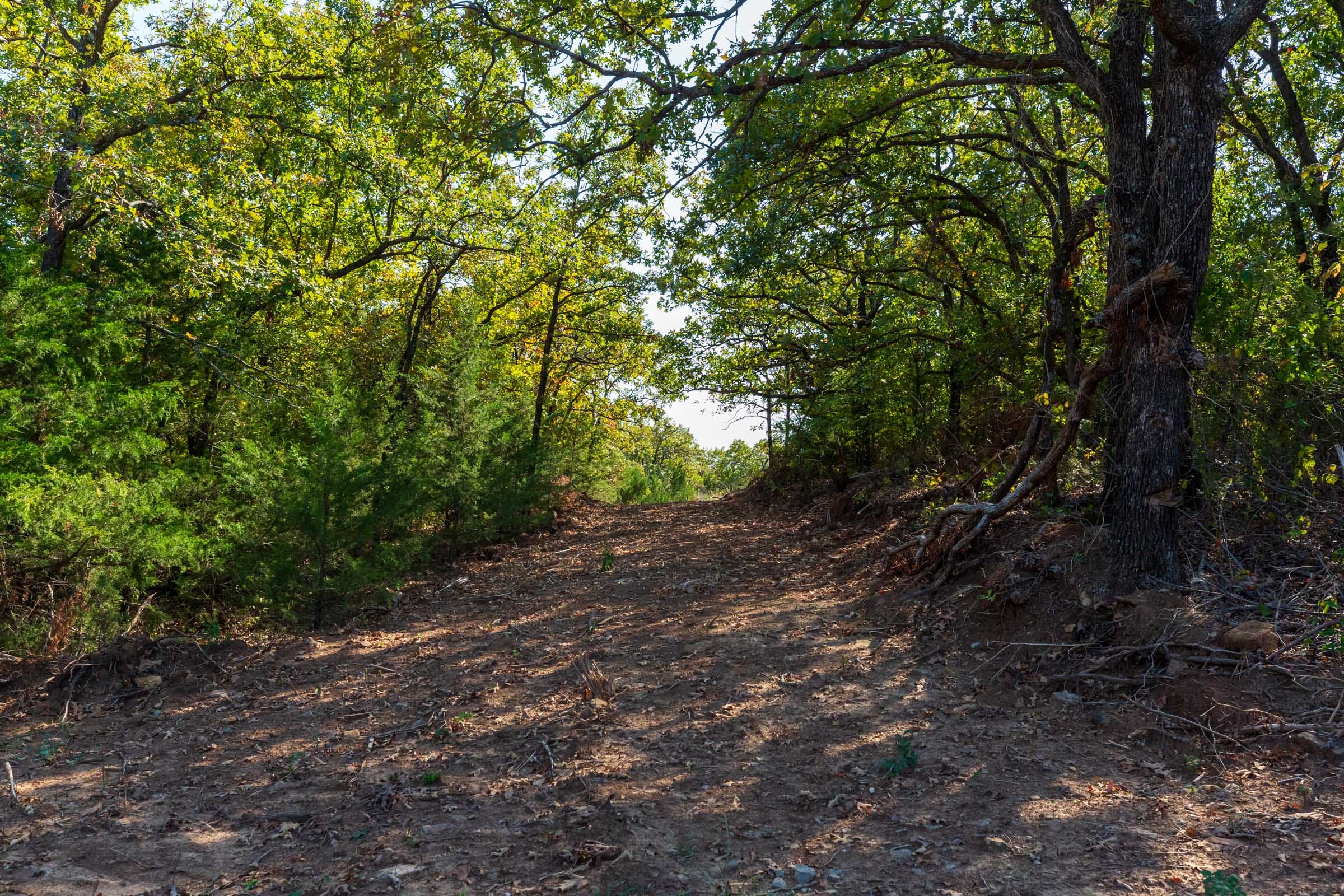 Canyon Creek Tract 23 photo 1