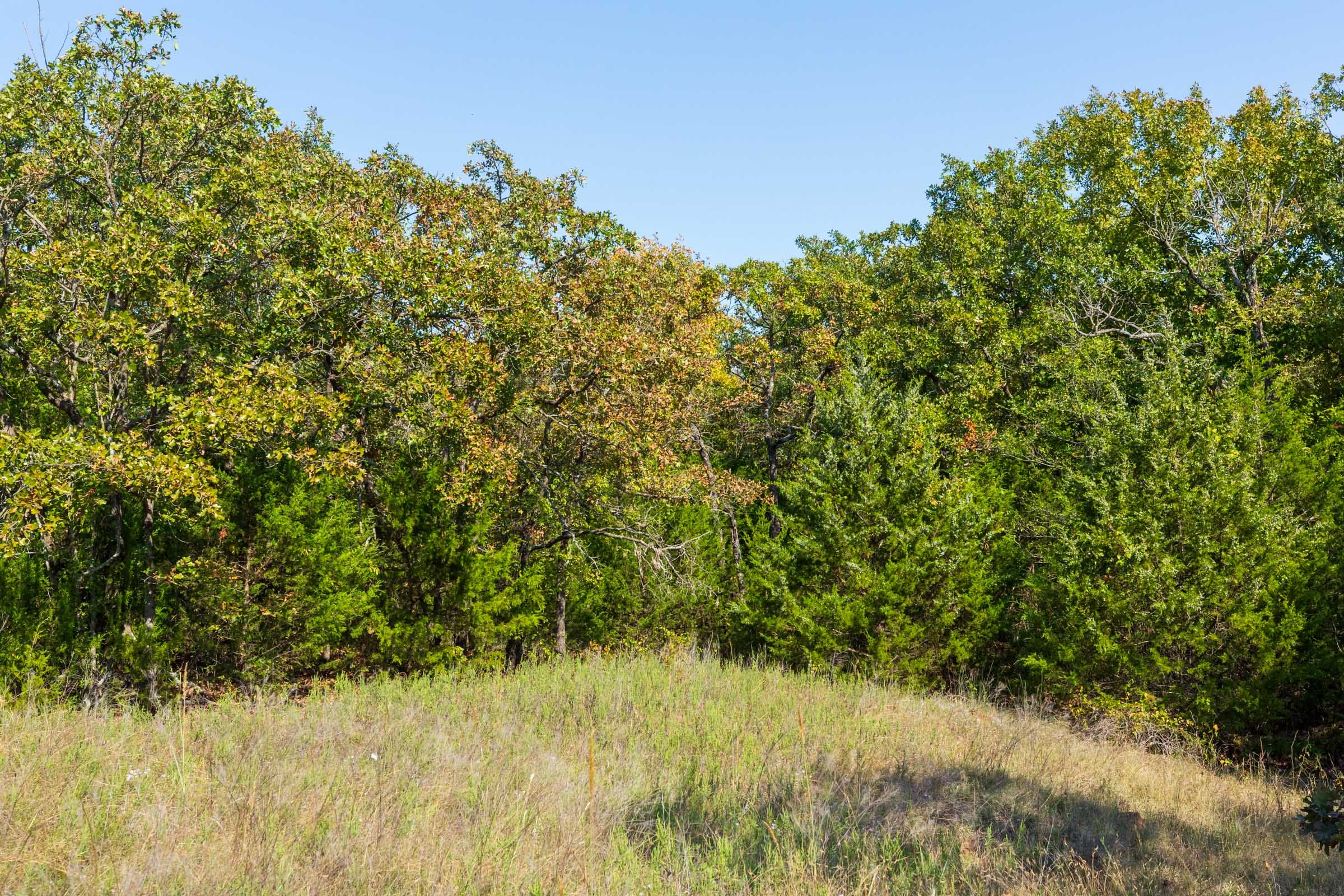 Canyon Creek Tract 23 photo 3