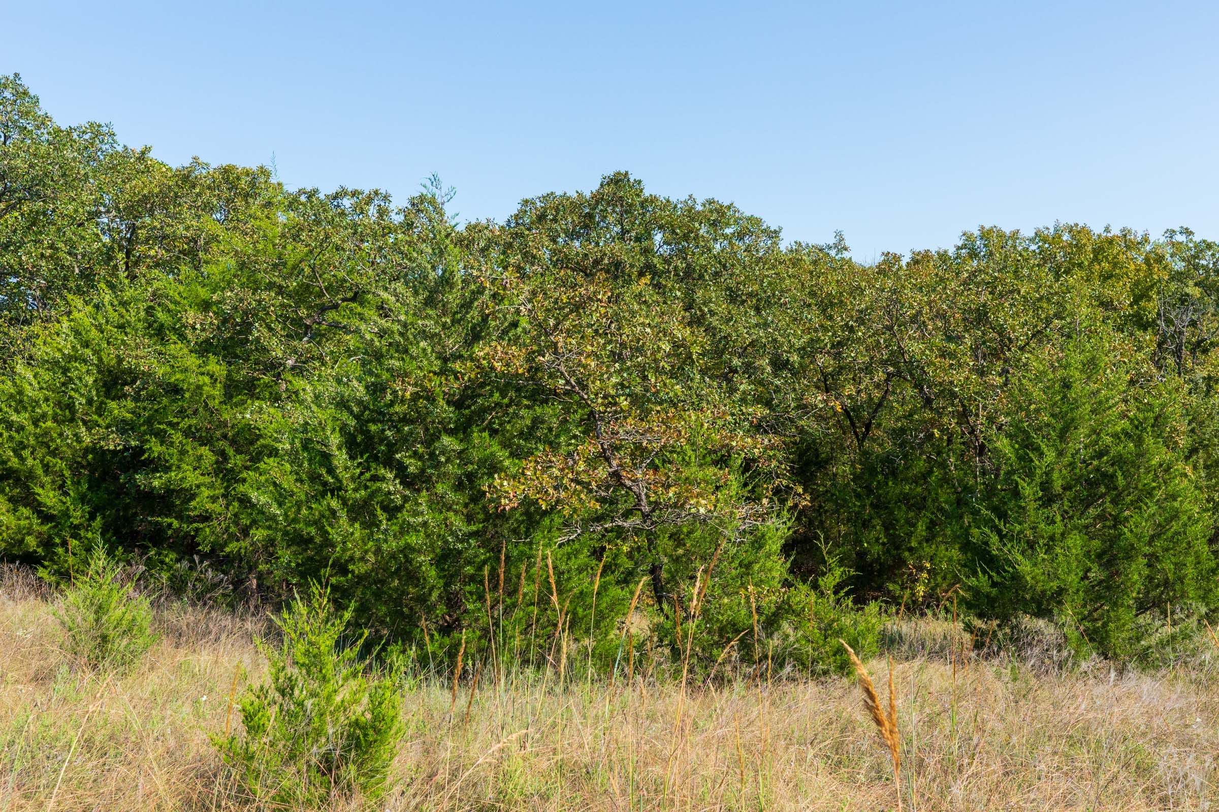 Canyon Creek Tract 23 photo 9