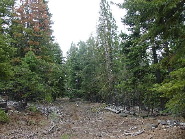 California Pines Tract 19 photo 1
