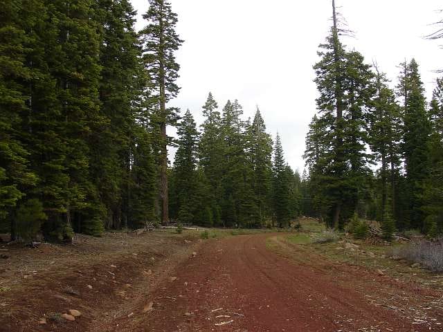 California Pines Tract 19 photo 8
