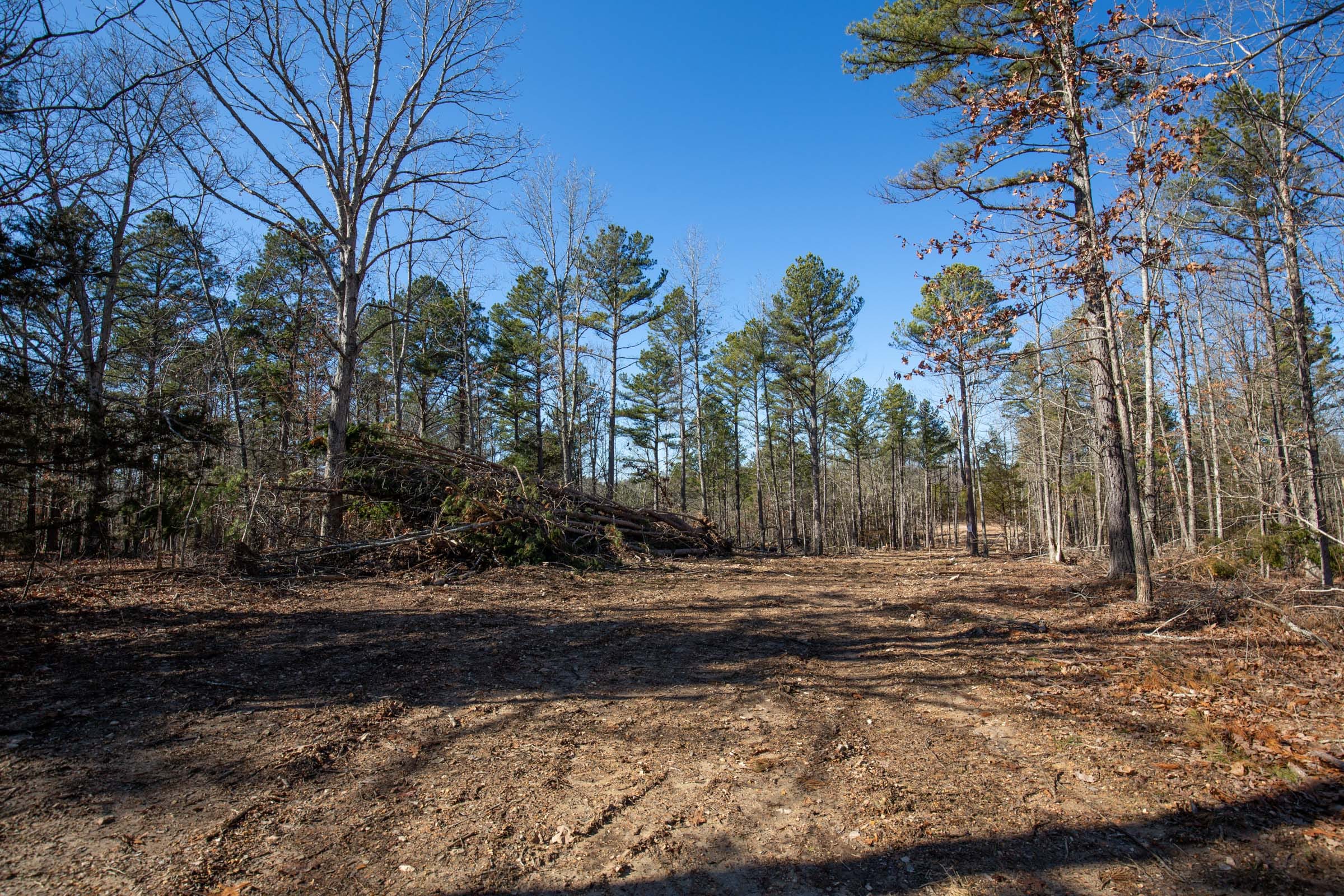 O’Connor Crossing Tract 9 photo 6