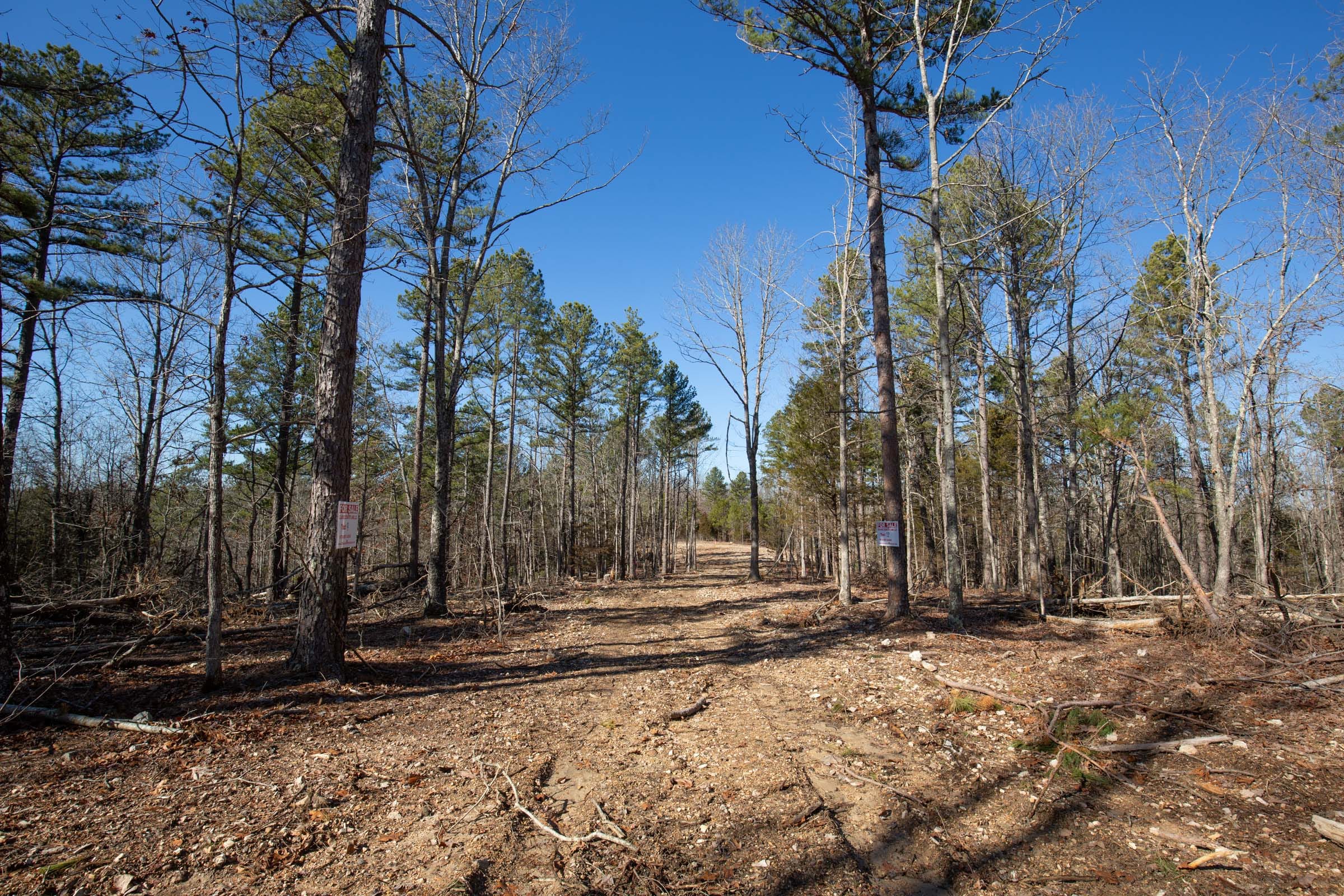 O’Connor Crossing Tract 9 photo 2