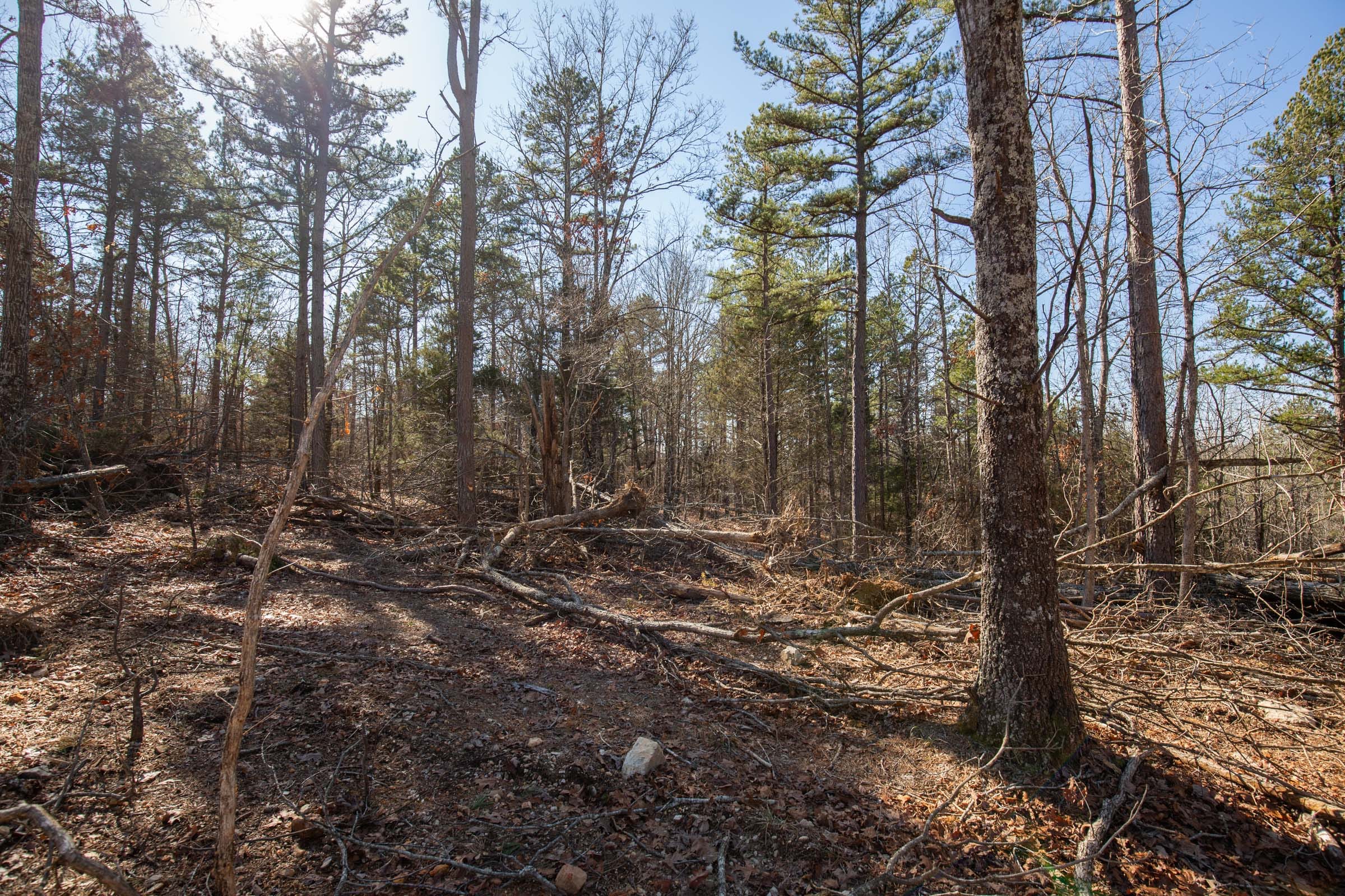 O’Connor Crossing Tract 9 photo 3