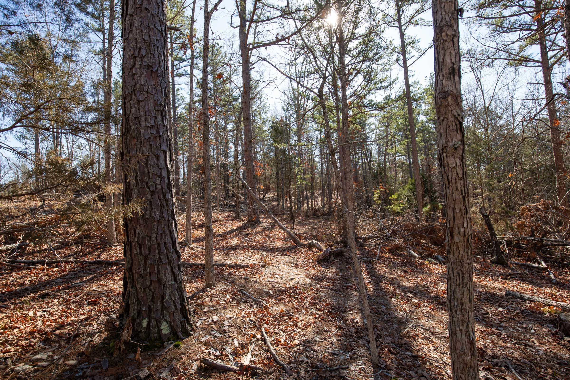 O’Connor Crossing Tract 9 photo 4