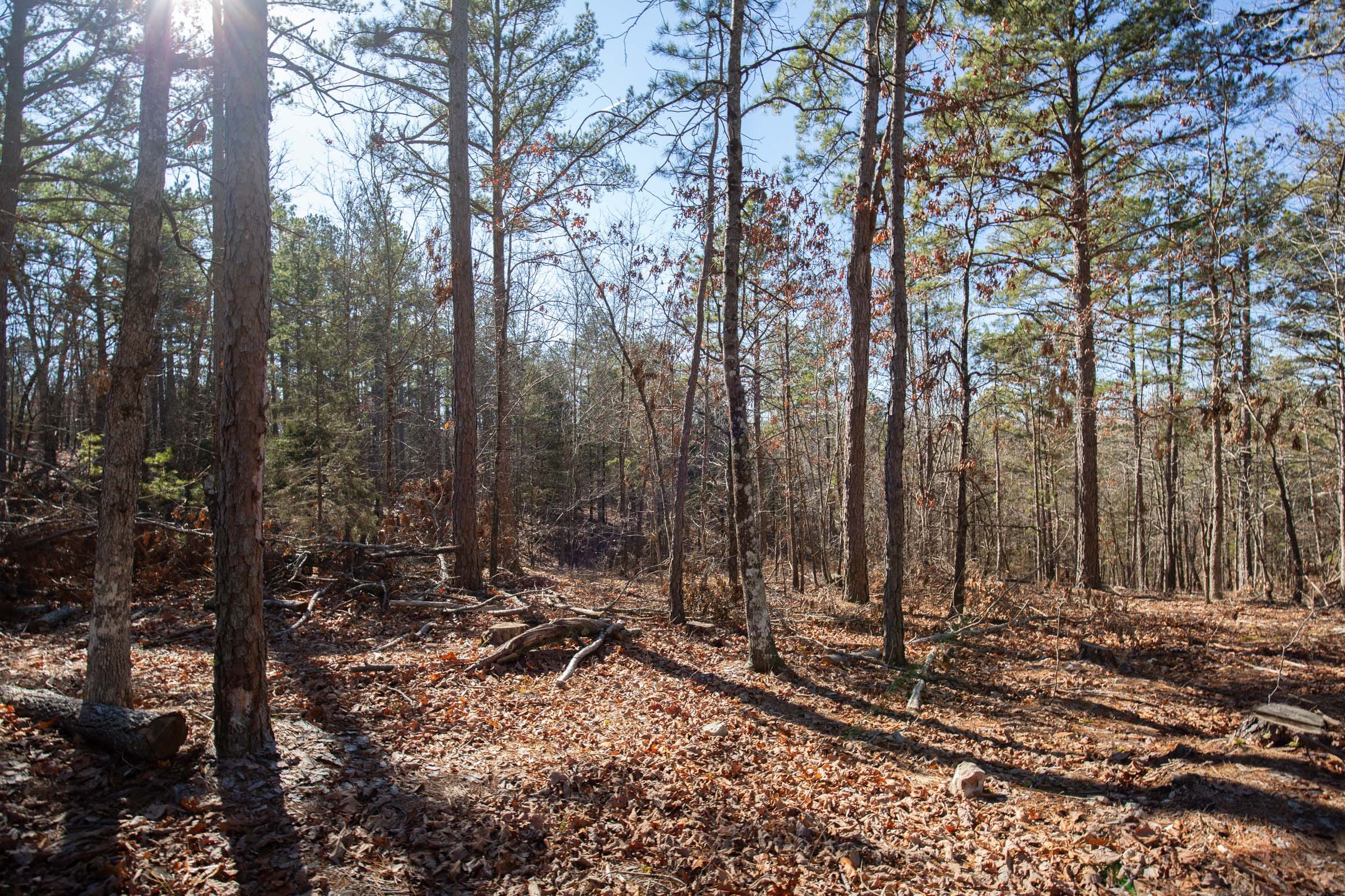 O’Connor Crossing Tract 9 photo 5