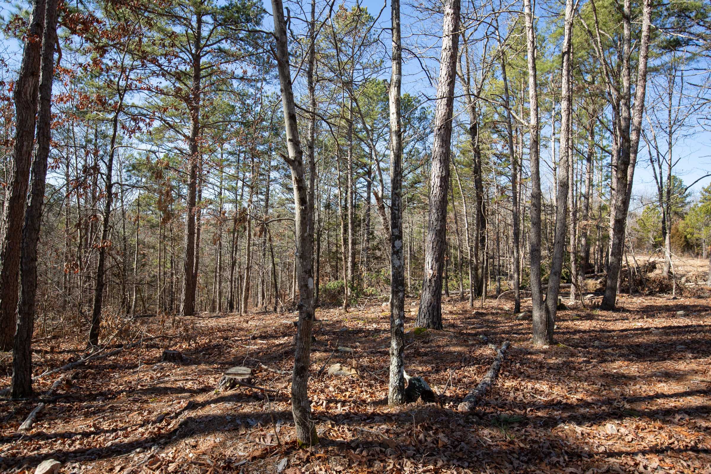 O’Connor Crossing Tract 9 photo 7