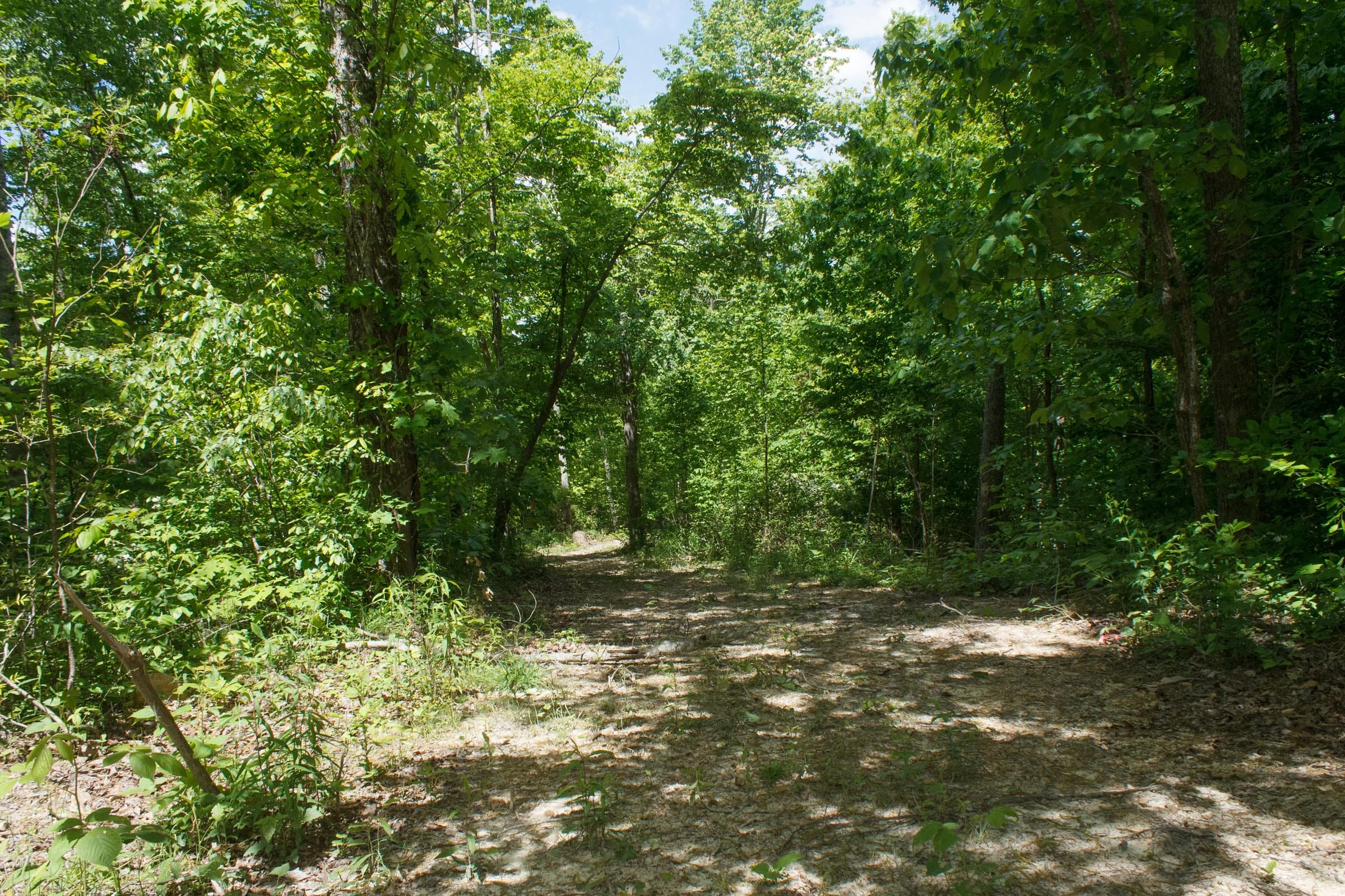 Riverbend Tract 13 photo 1
