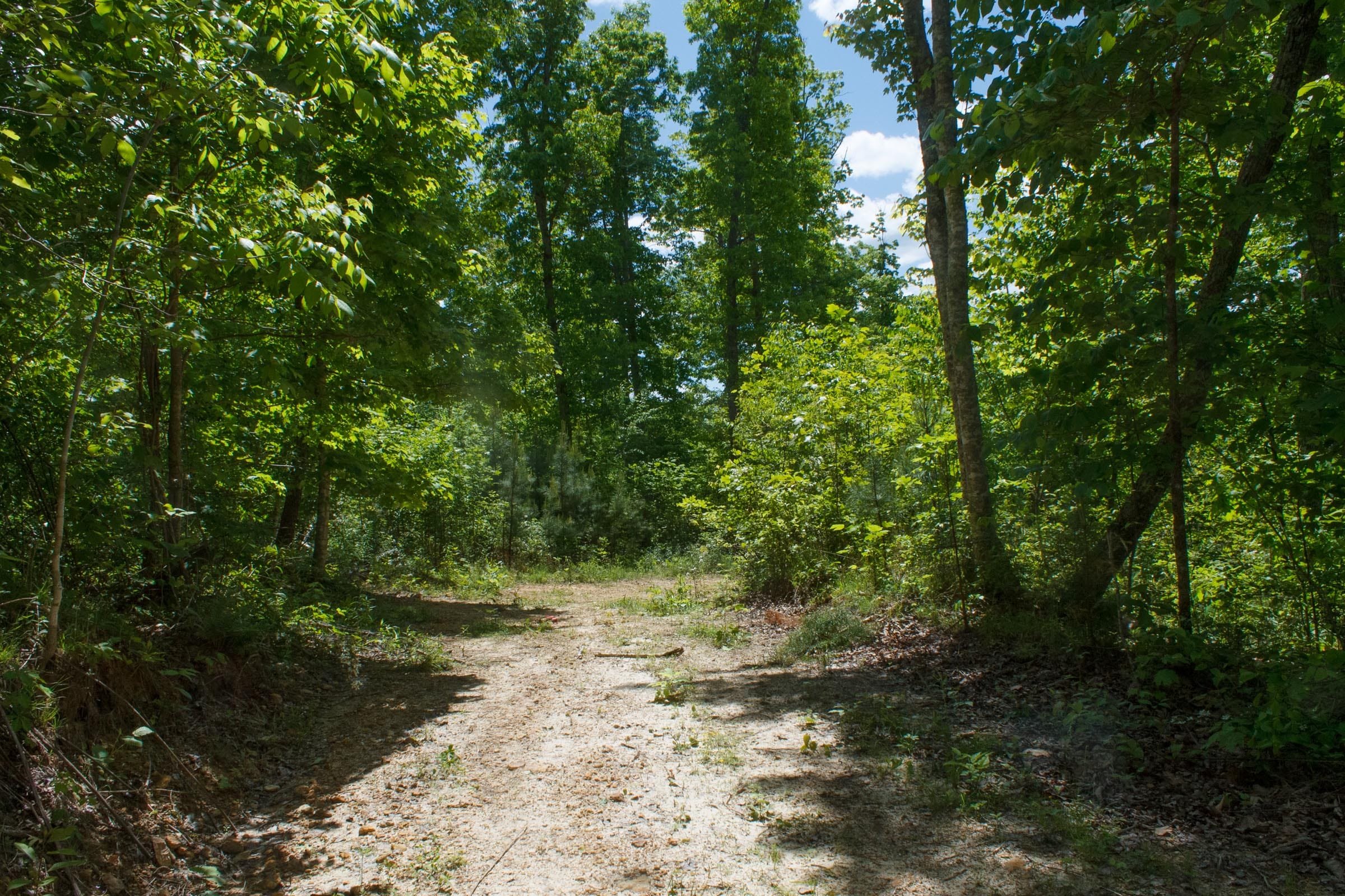 Riverbend Tract 13 photo 2