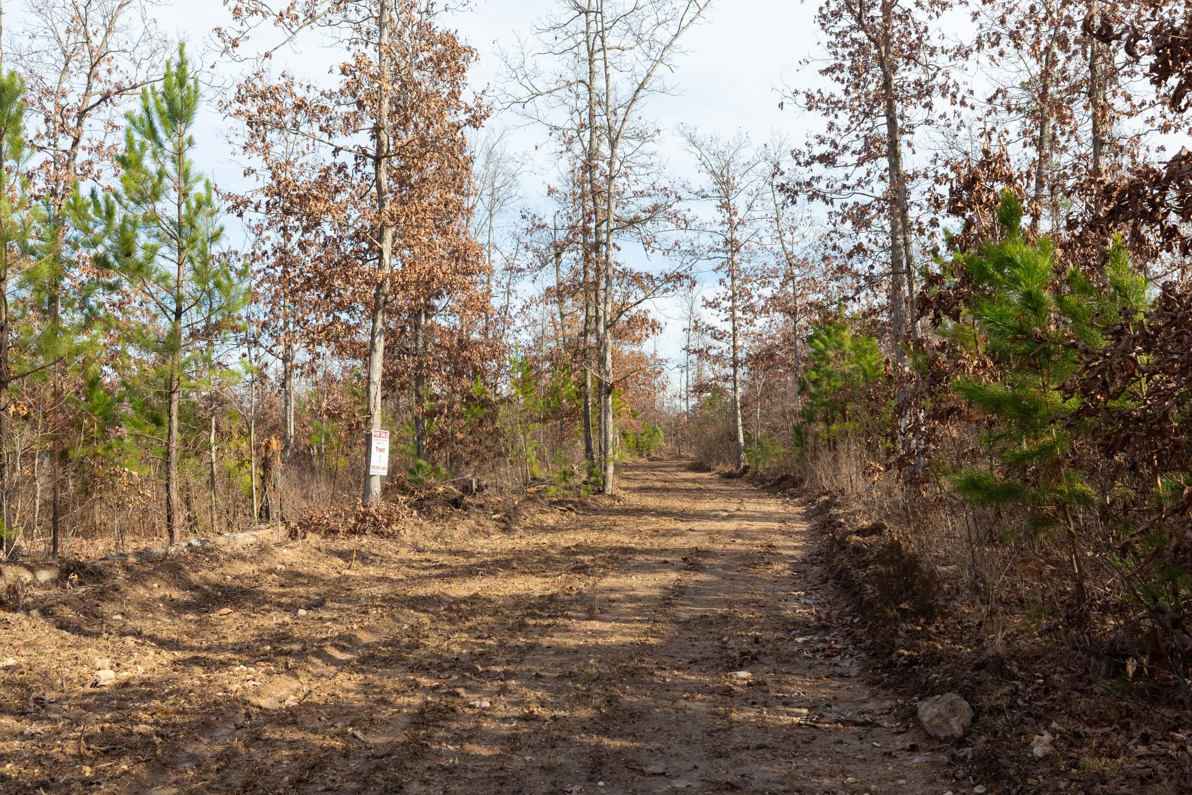 Windy Ridge Tract 5 photo 5