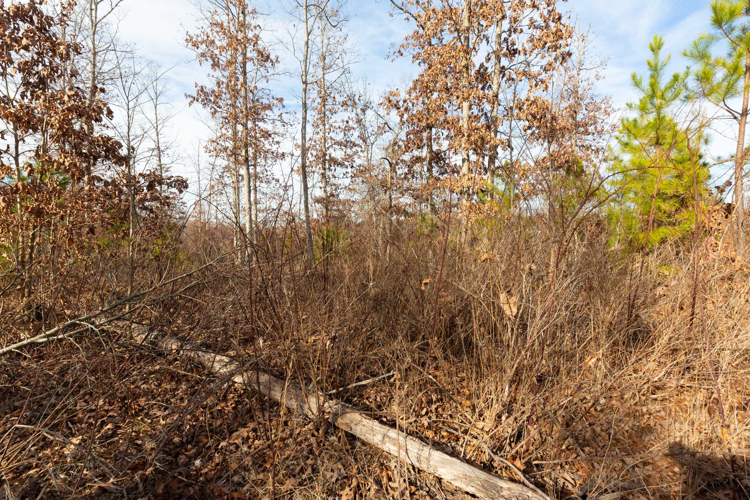 Windy Ridge Tract 5 photo 6