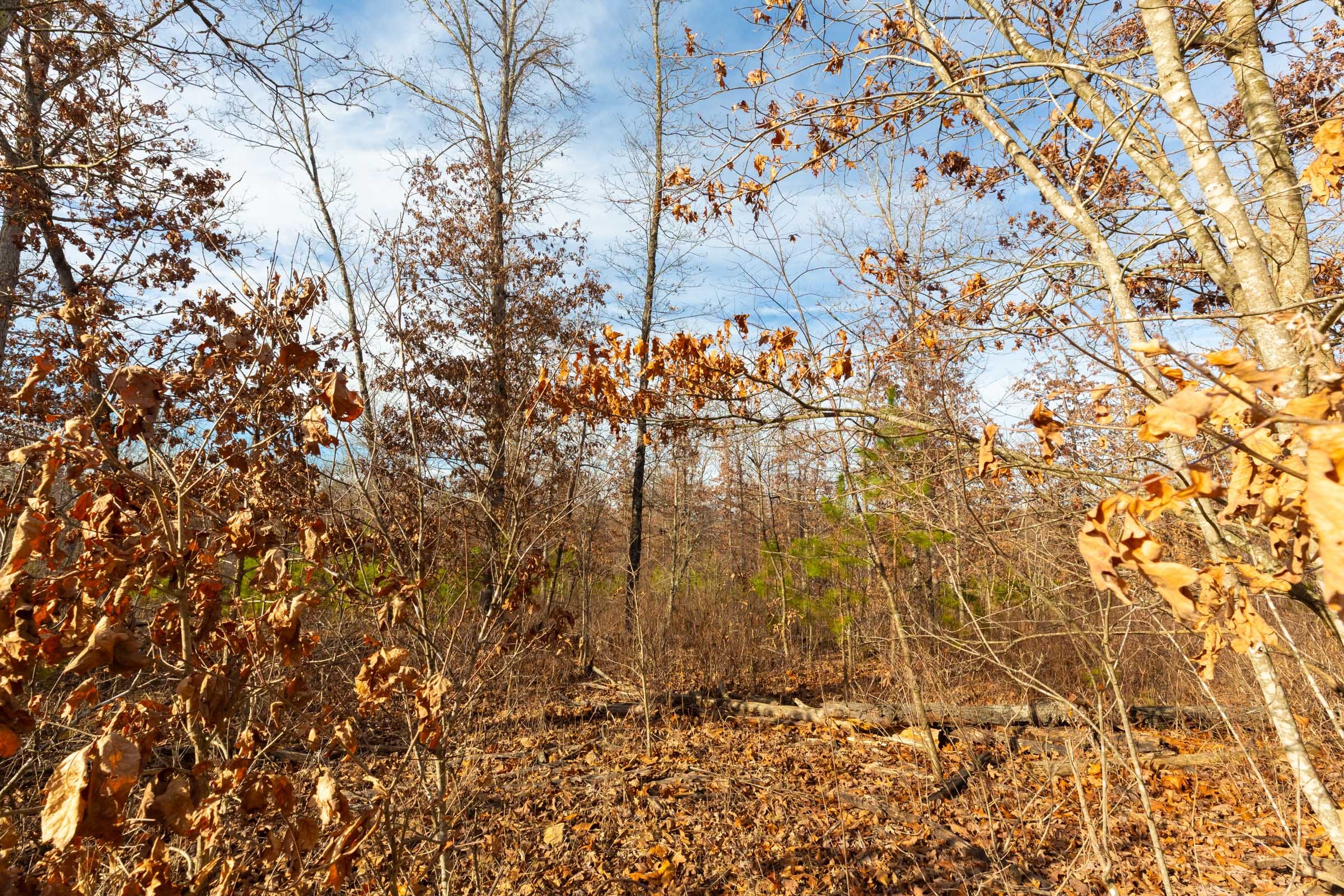 Windy Ridge Tract 5 photo 12