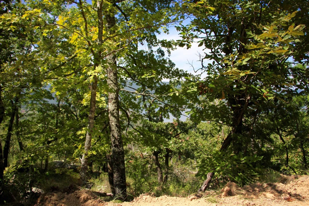 Lakeview Private Reserve Tract 14 photo 4
