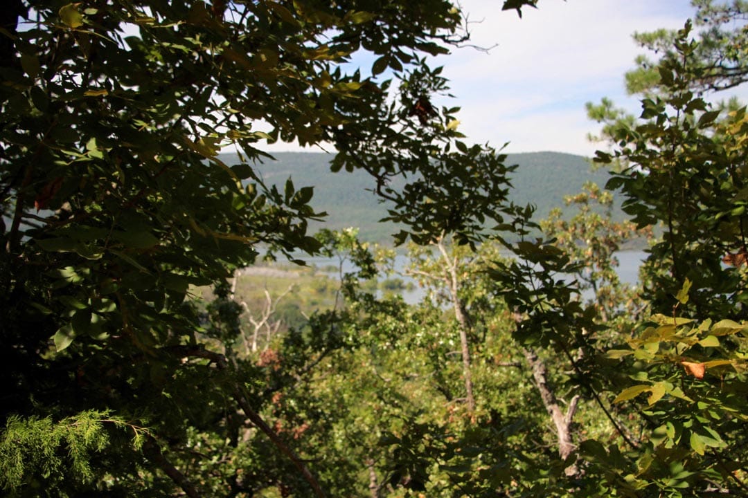 Lakeview Private Reserve Tract 14 photo 6