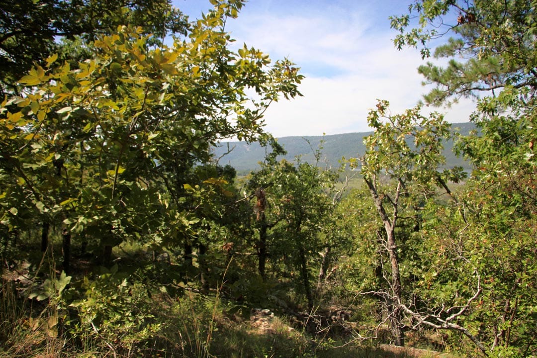 Lakeview Private Reserve Tract 14 photo 7